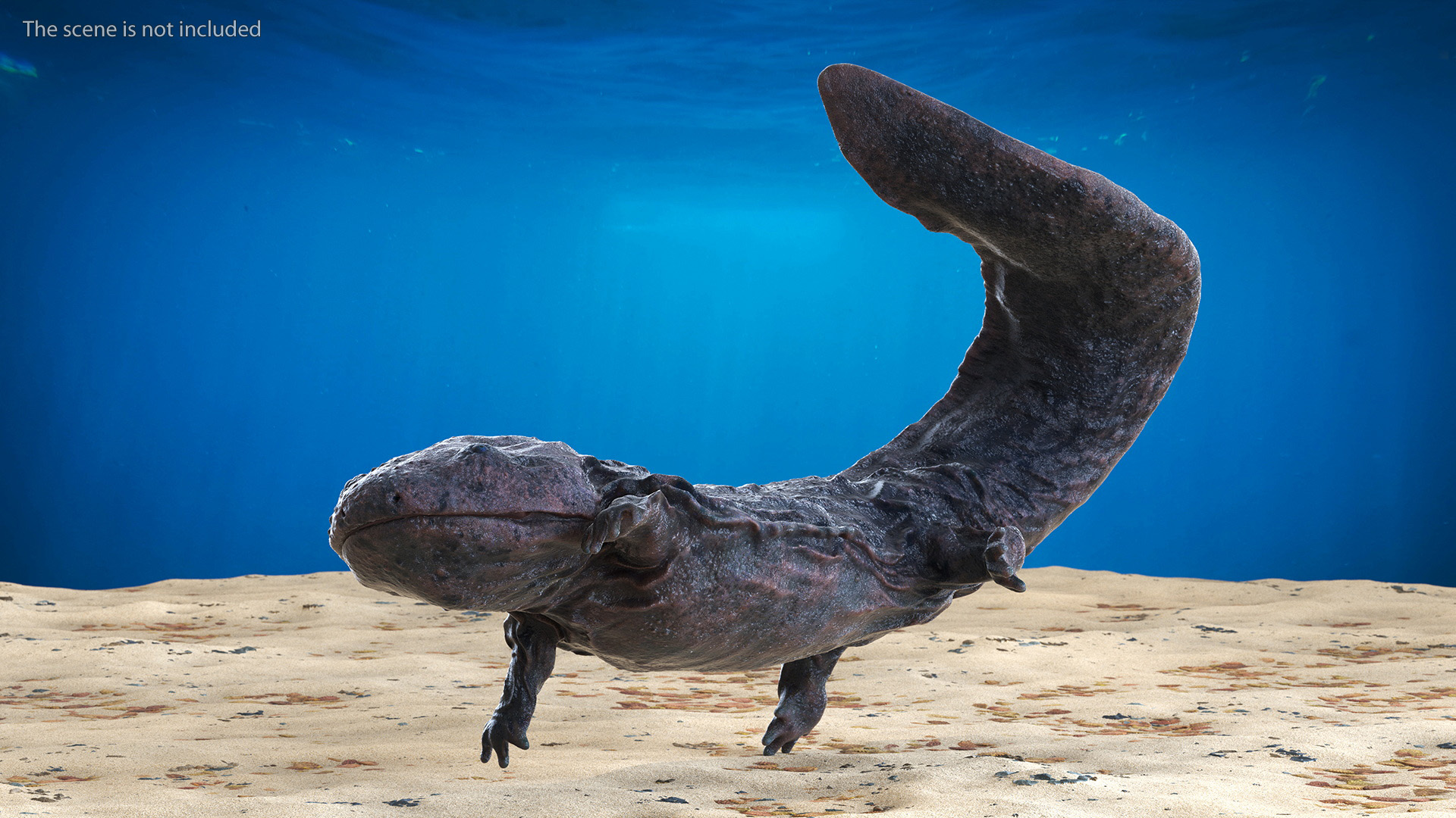 Giant Salamander Dark Wet Swimming 3D model