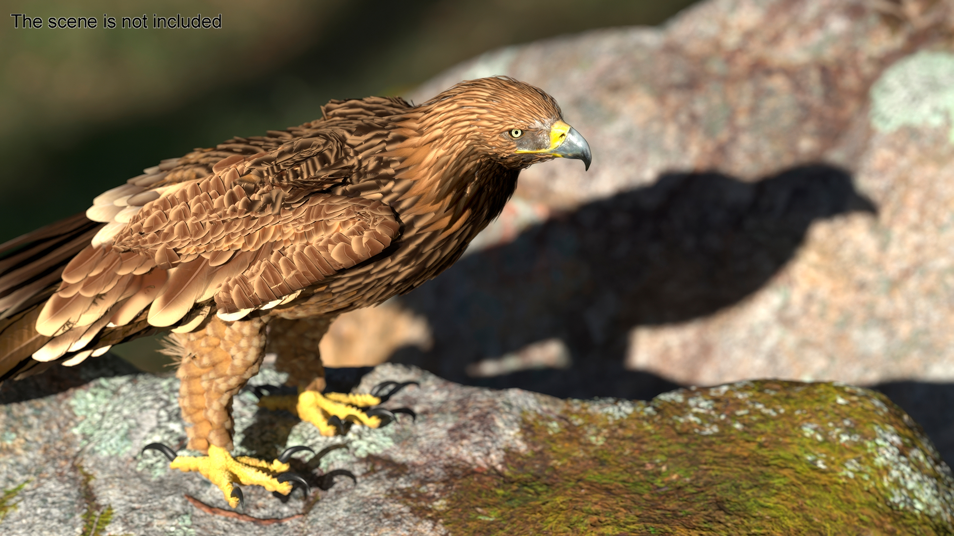 3D Imperial Eagle Standing model