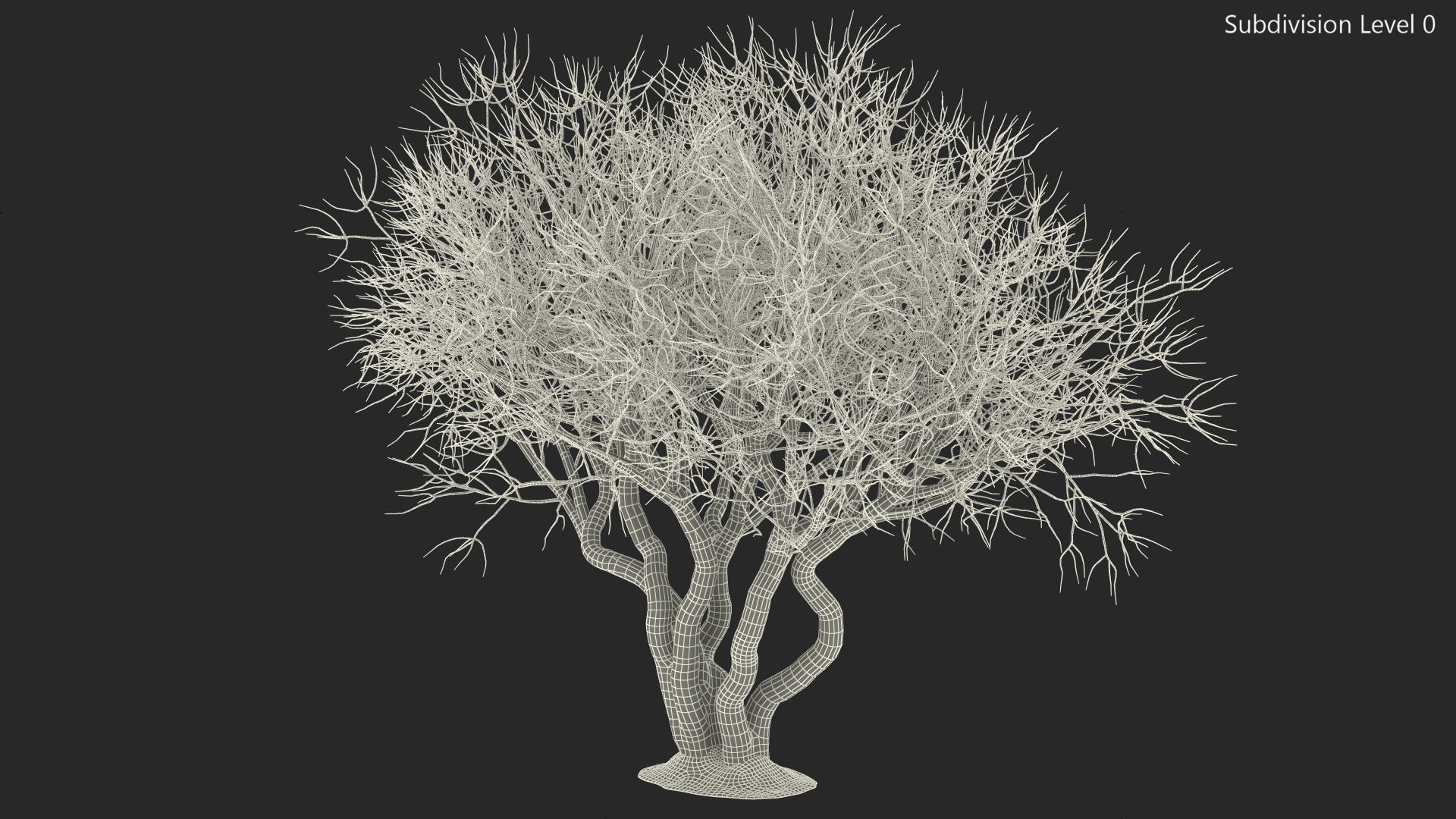 Rhododendron Bark Tree 3D