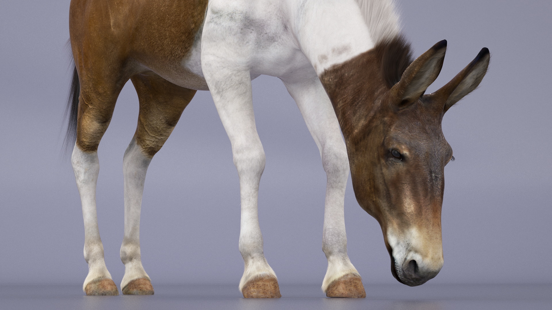 3D model Eating Mule Fur