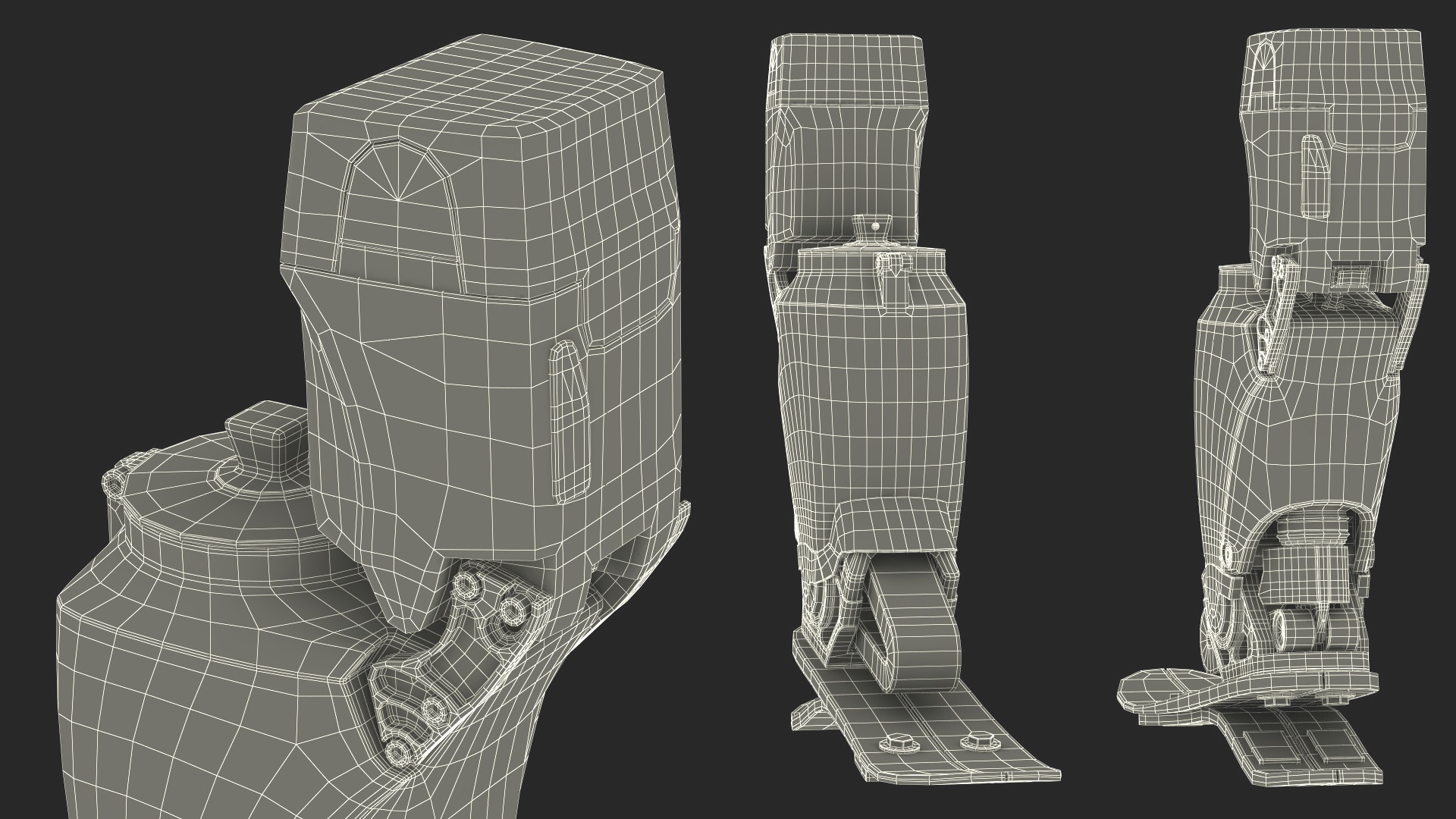 BiOM Prosthetic System 3D