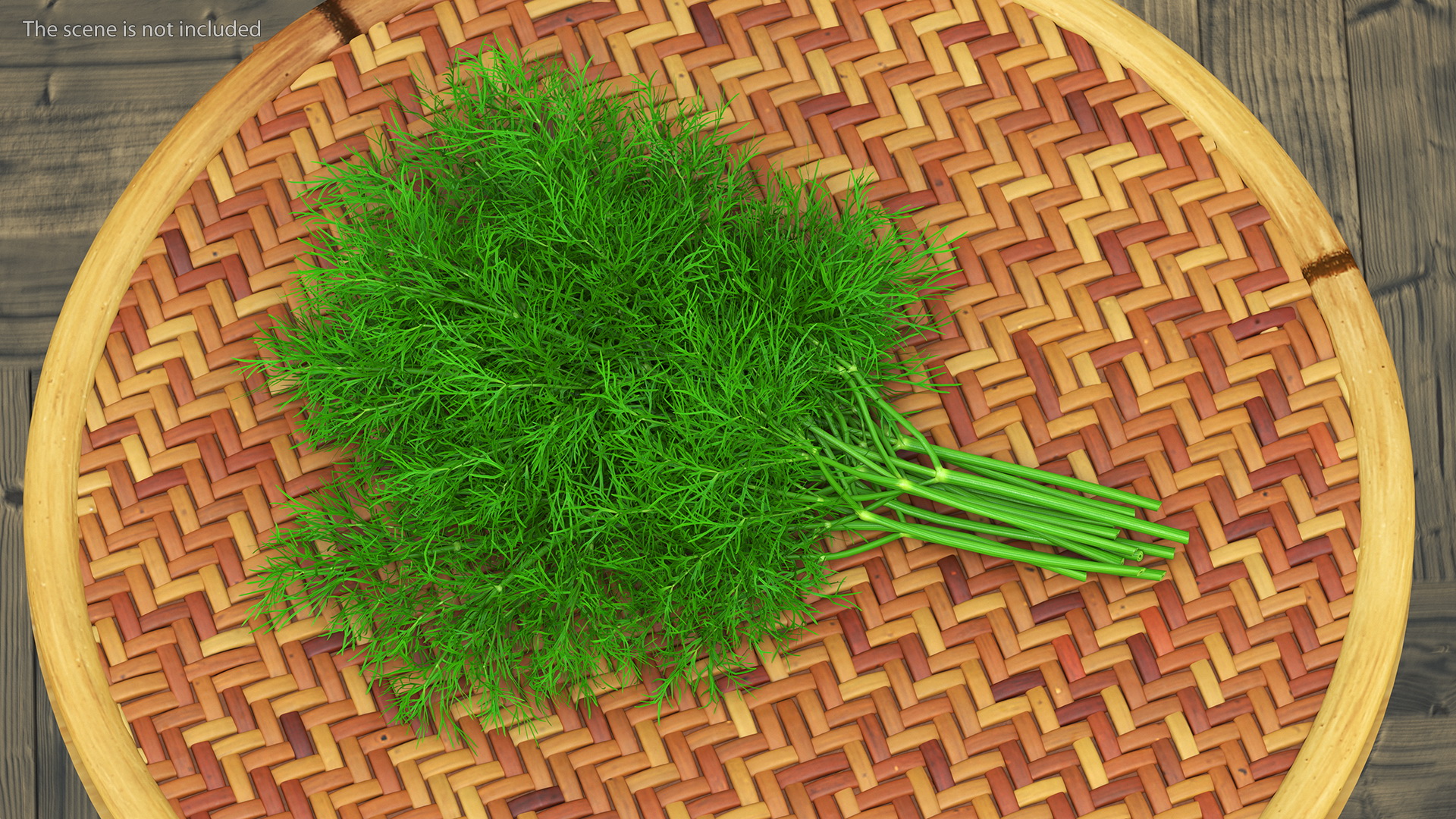 3D model Dill Bunch