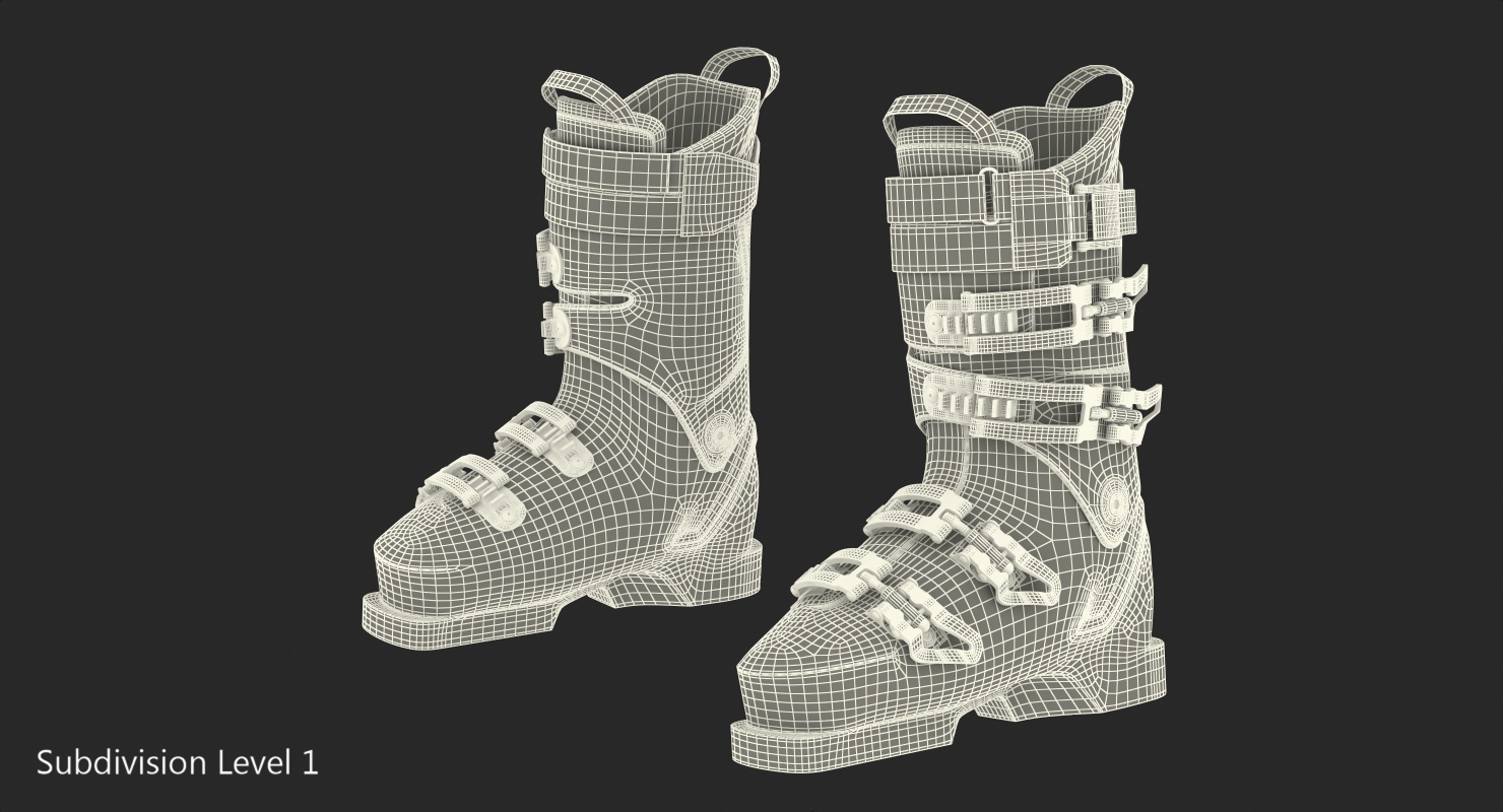 Ski Boots Generic 3D