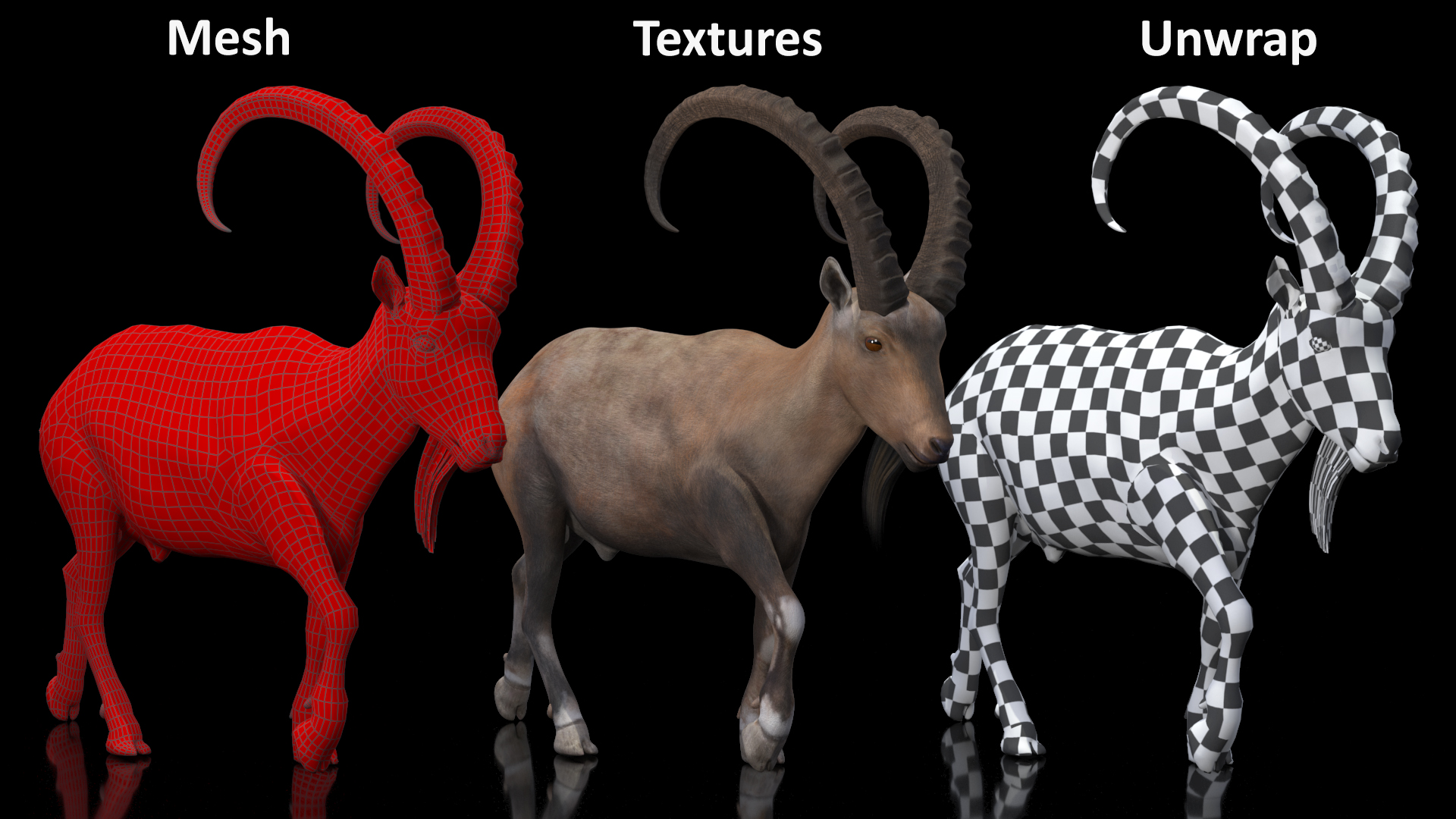 Alpine Ibex in Walking Pose 3D