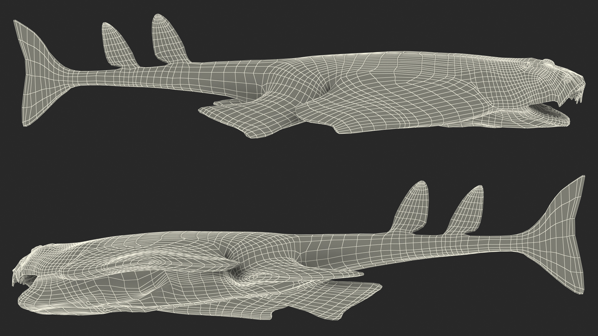 3D Angel Shark Rigged model