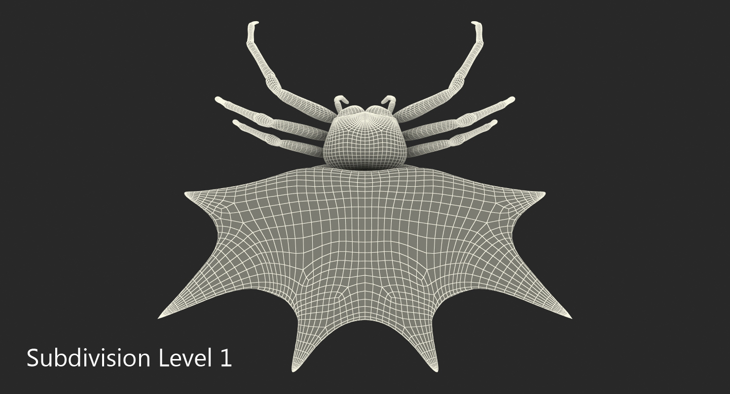 Spiny Orb Weaver Spider with Fur 3D