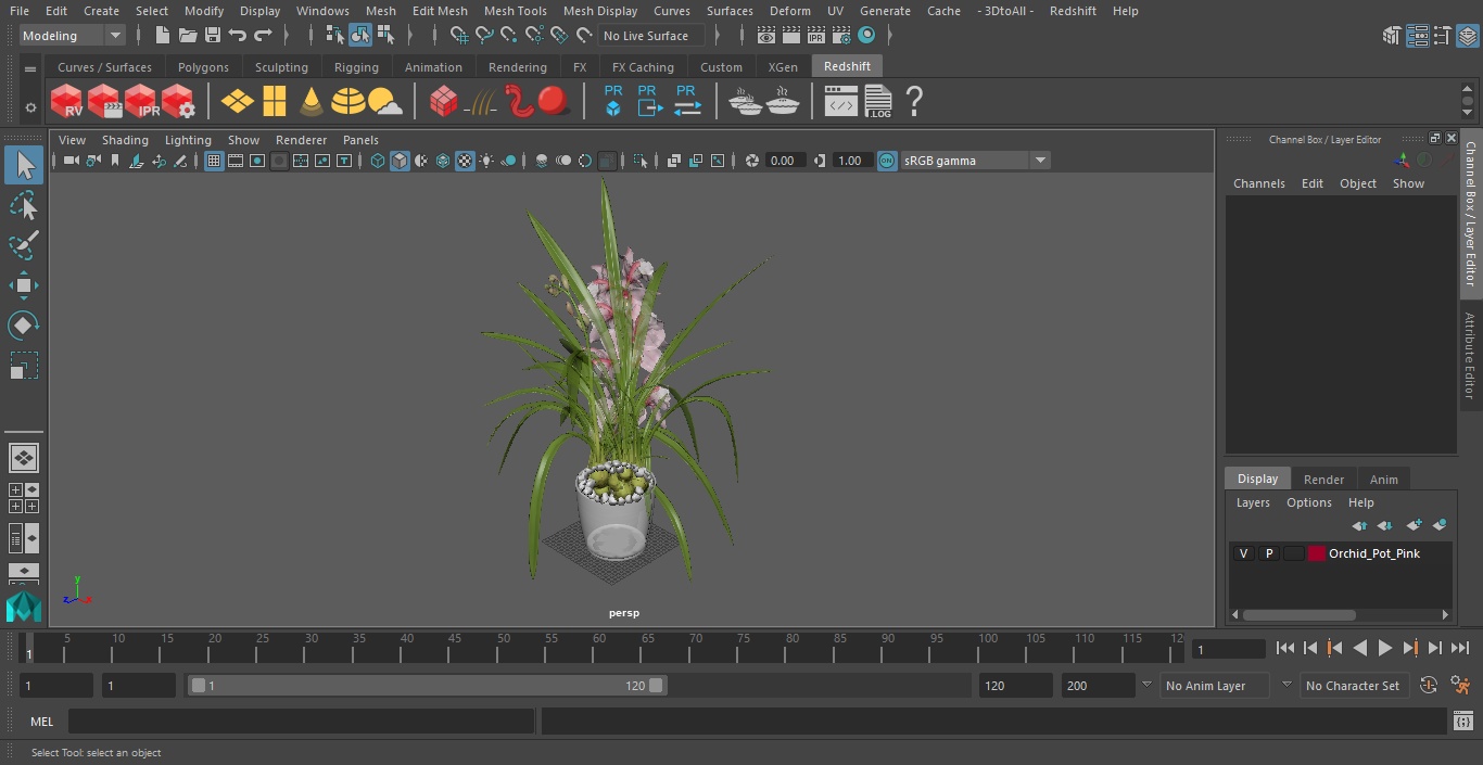 3D model Orchid Pot Pink