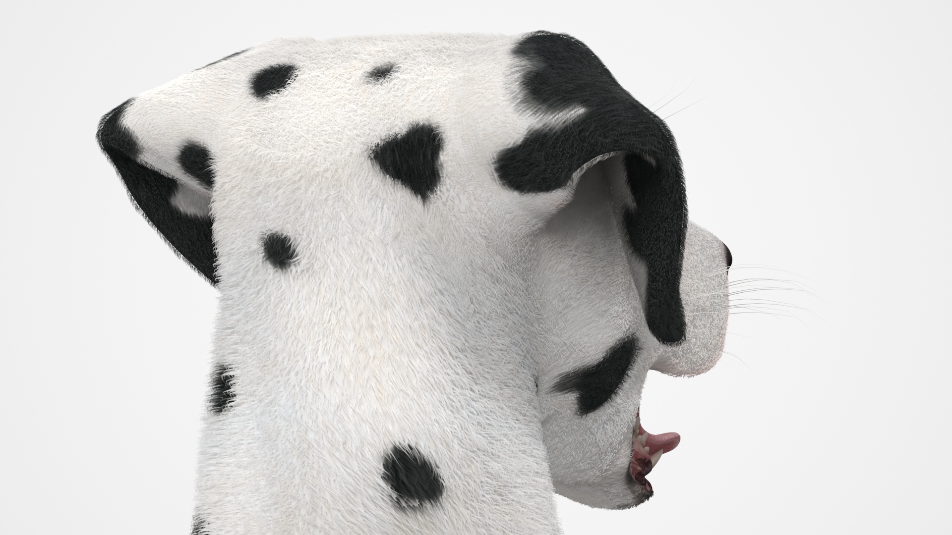 3D Lying Dalmatian Dog Fur model