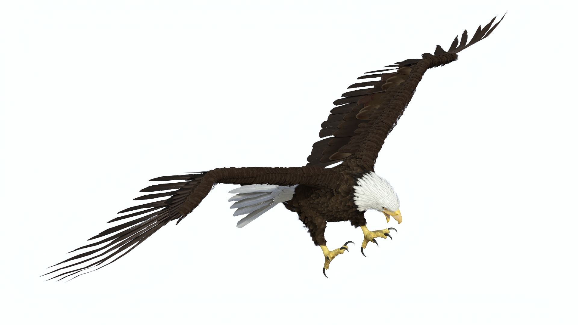 Bald Eagle Attack 3D