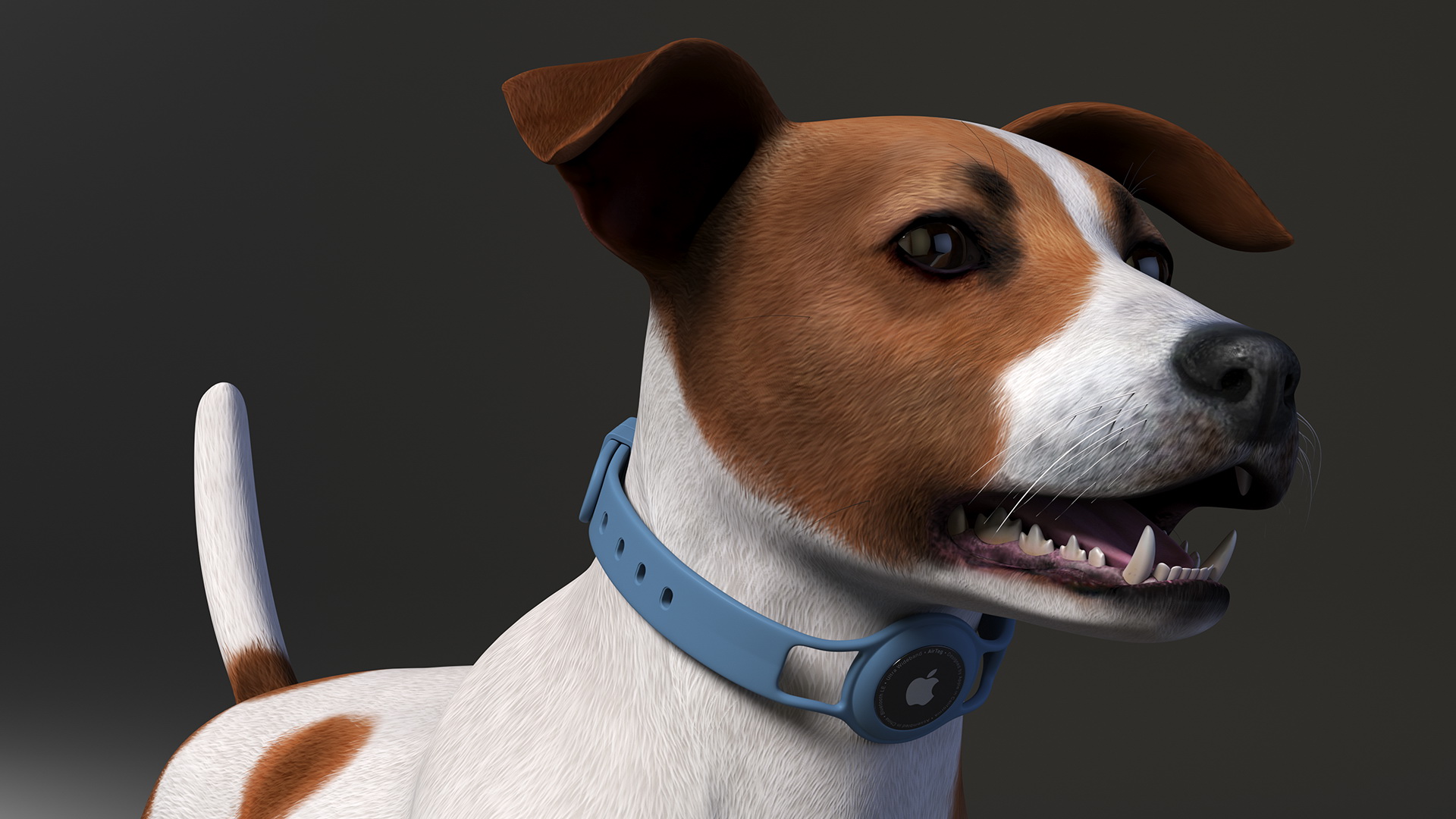 3D Jack Russell Terrier with Apple Dog Tracker model