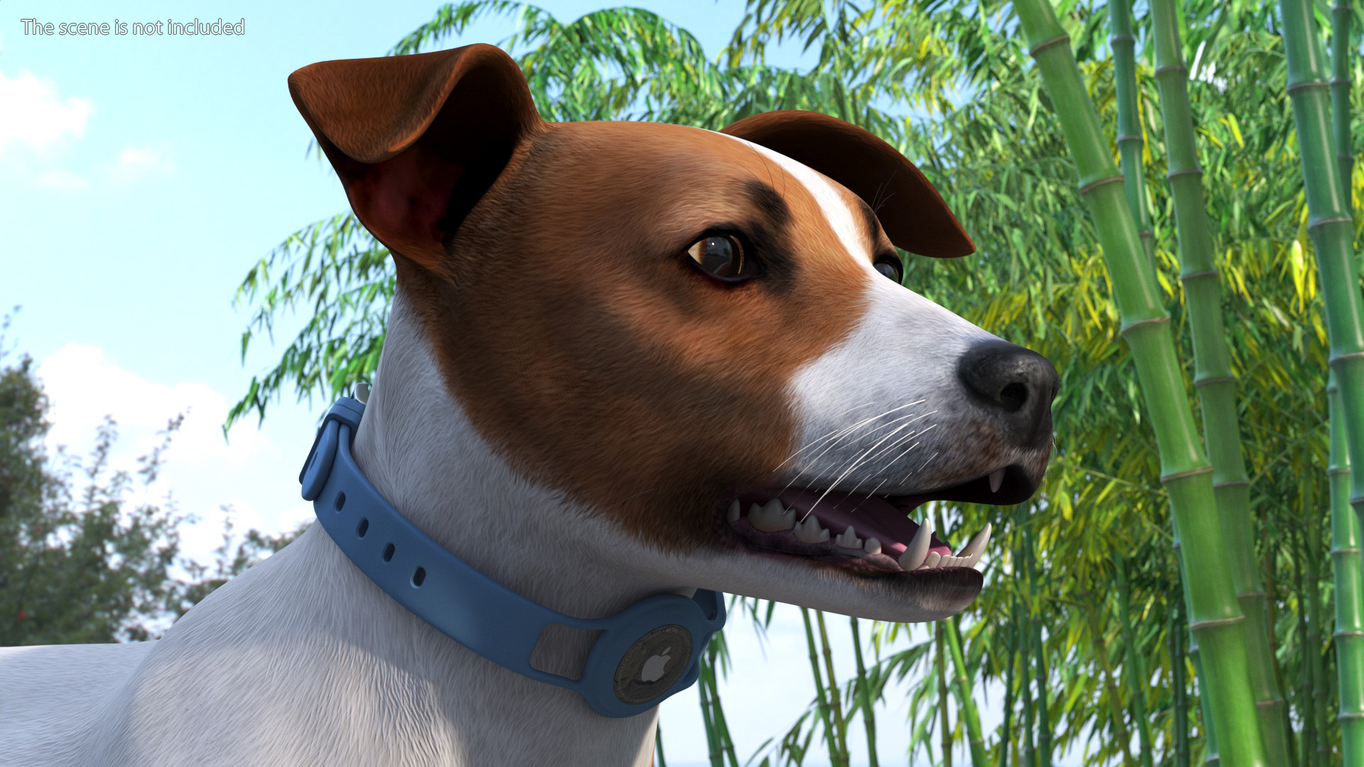 3D Jack Russell Terrier with Apple Dog Tracker model