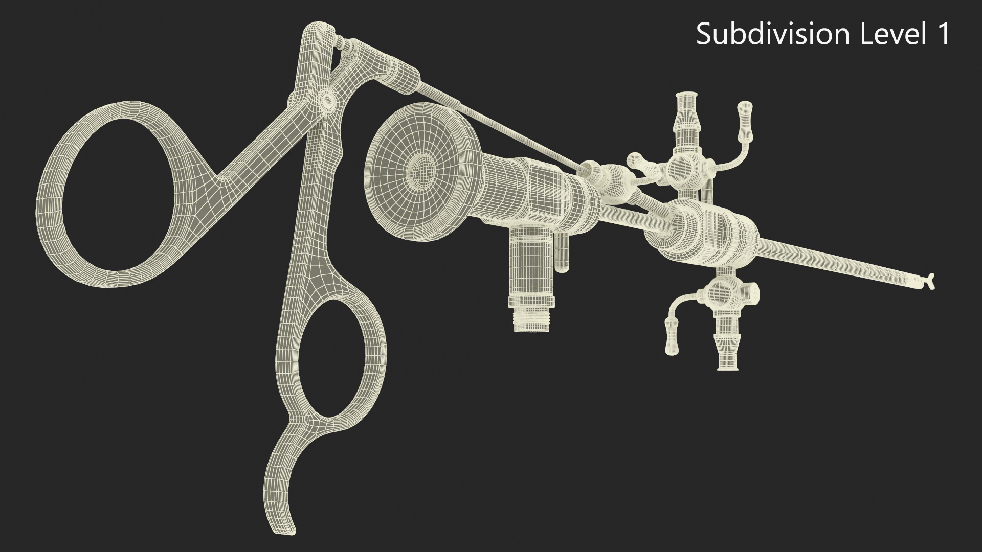 Hysteroscope 3D