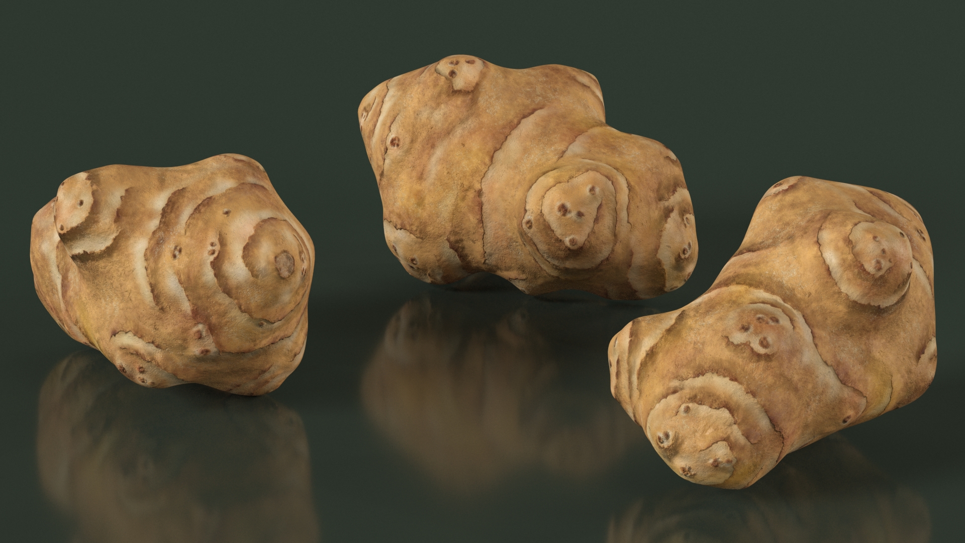 Jerusalem Artichoke 3D model