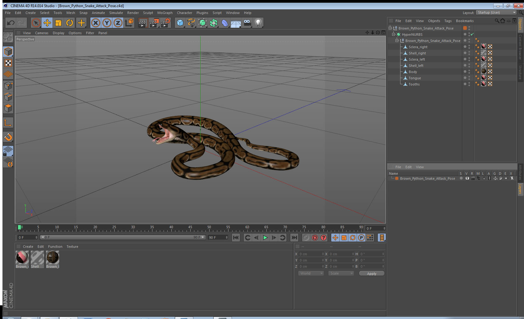 3D model Brown Python Snake Attack Pose