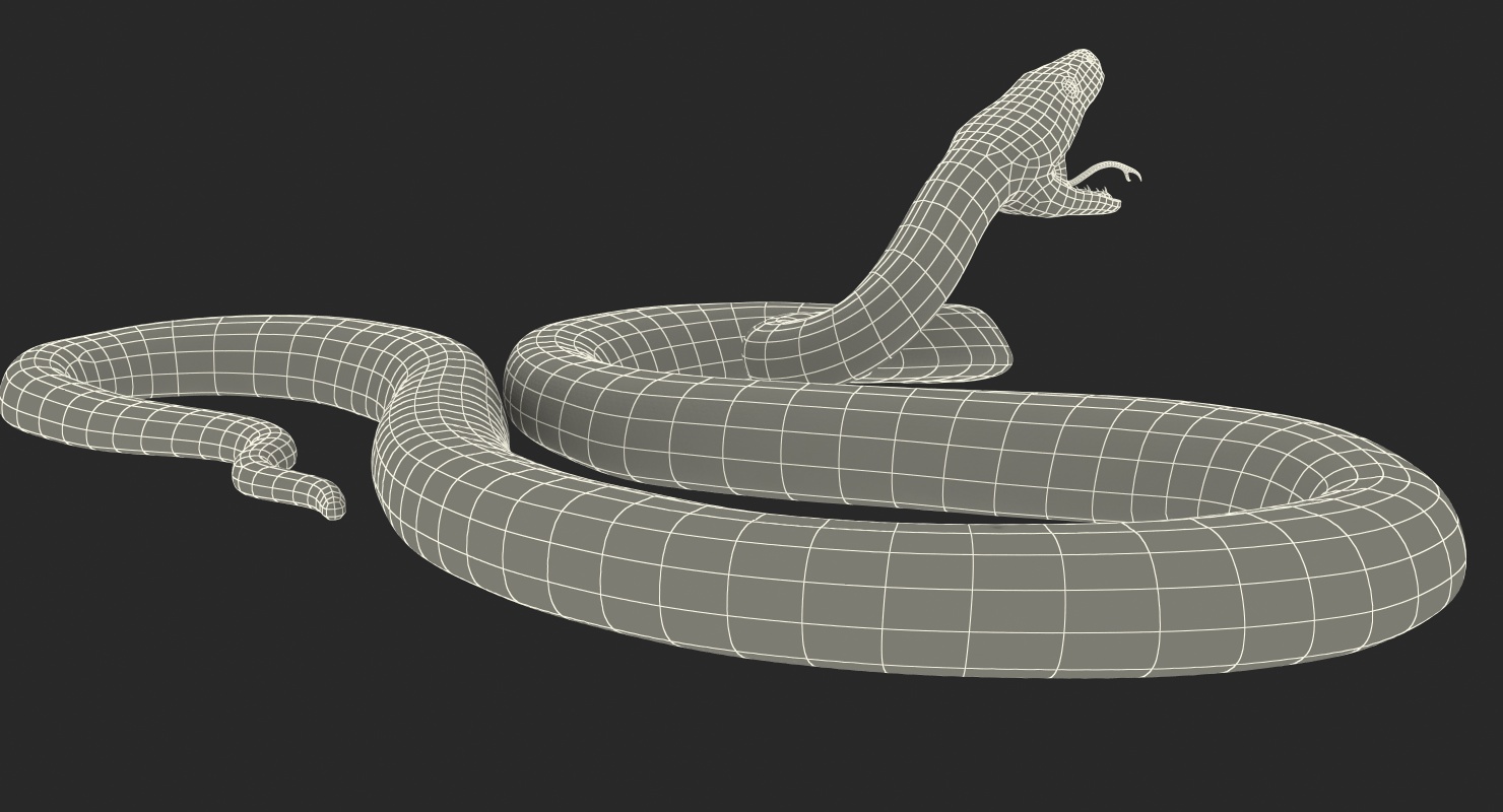 3D model Brown Python Snake Attack Pose