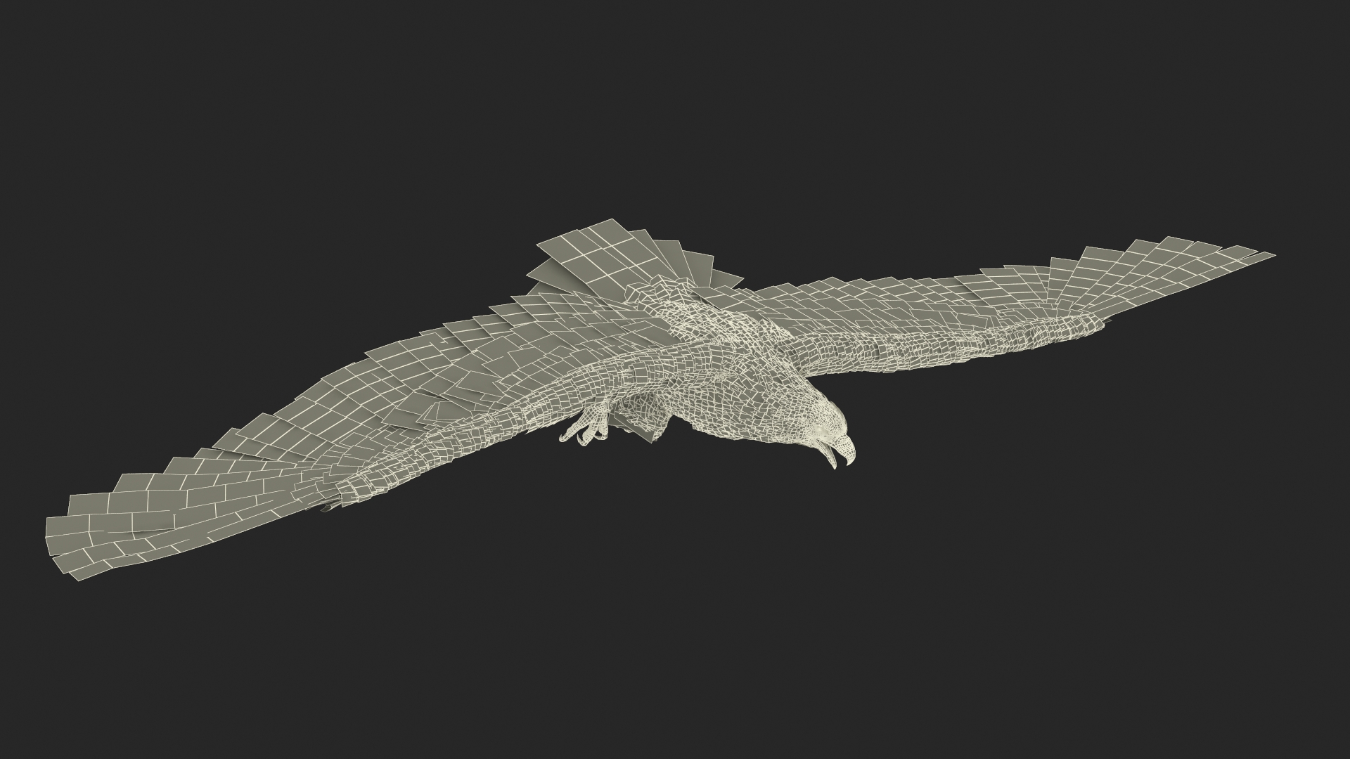 3D Imperial Eagle Flying