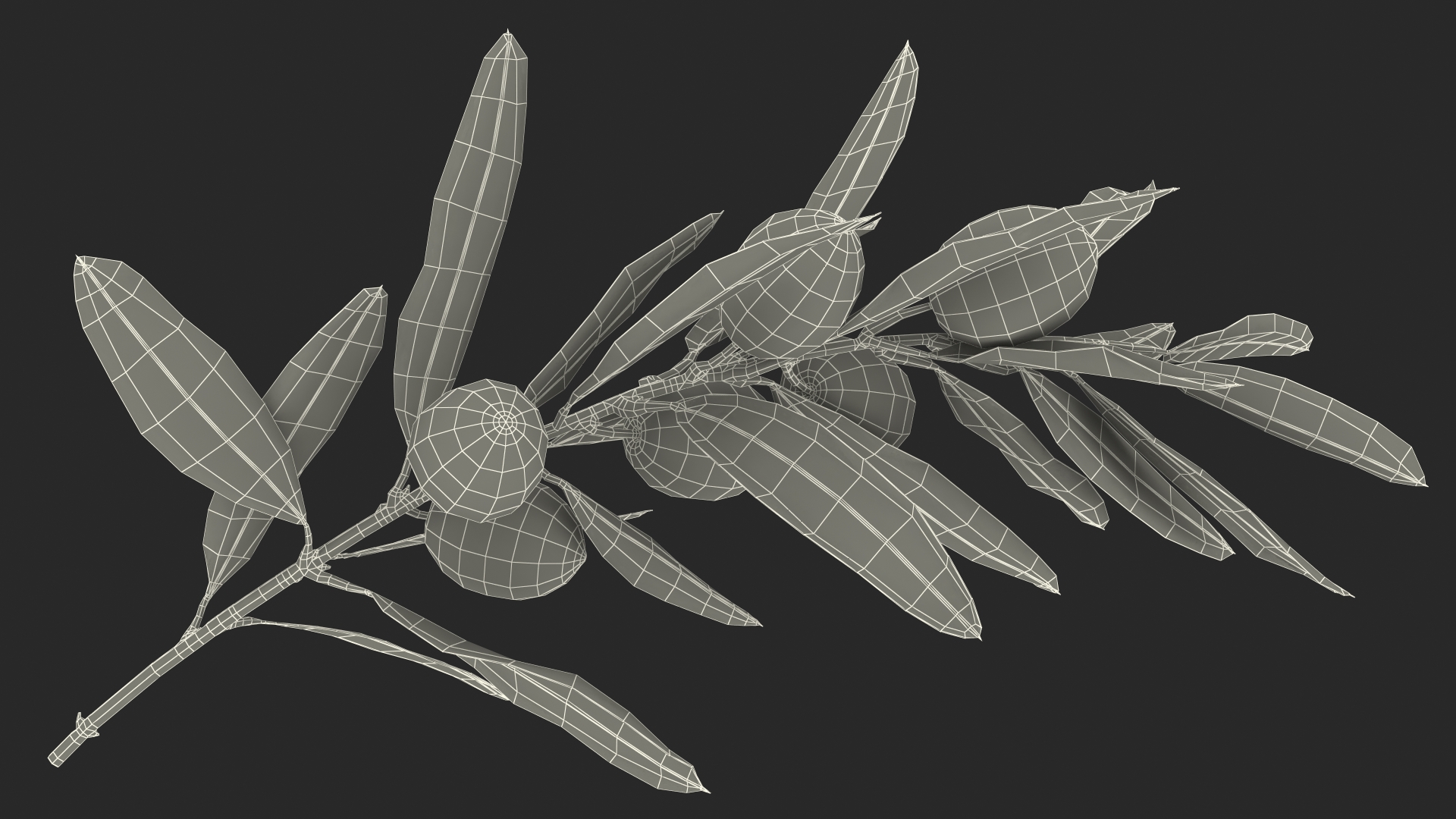 3D model Olive Branch with Black Olives