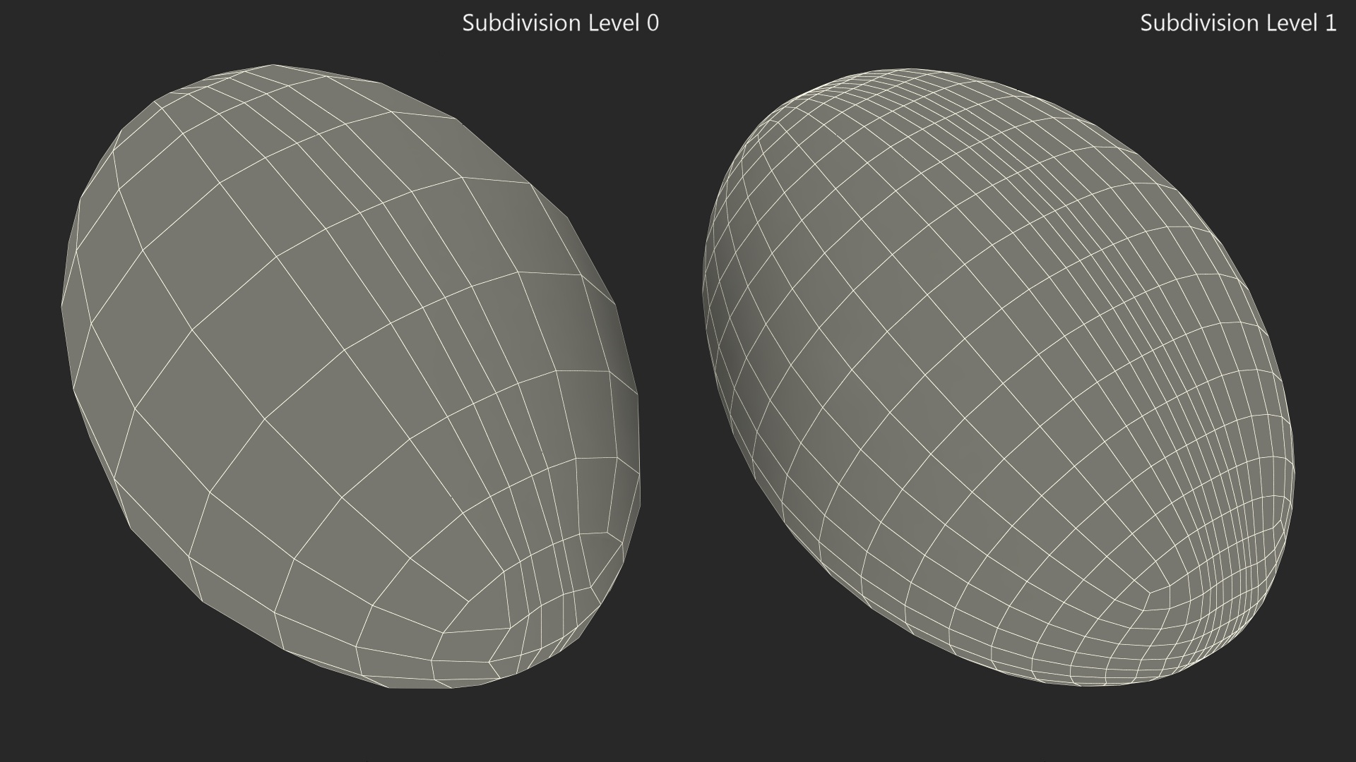 Oval Softgel 3D