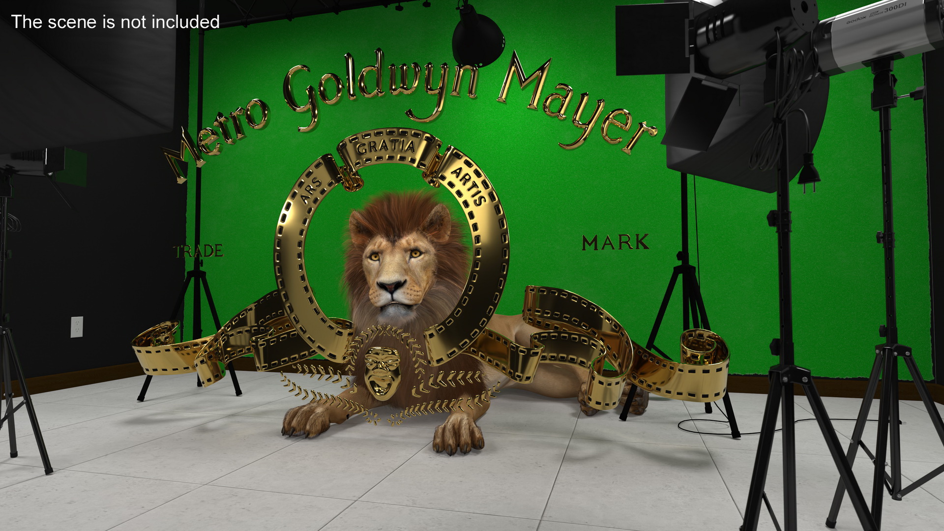 Metro Goldwyn Mayer and Lion Fur 3D