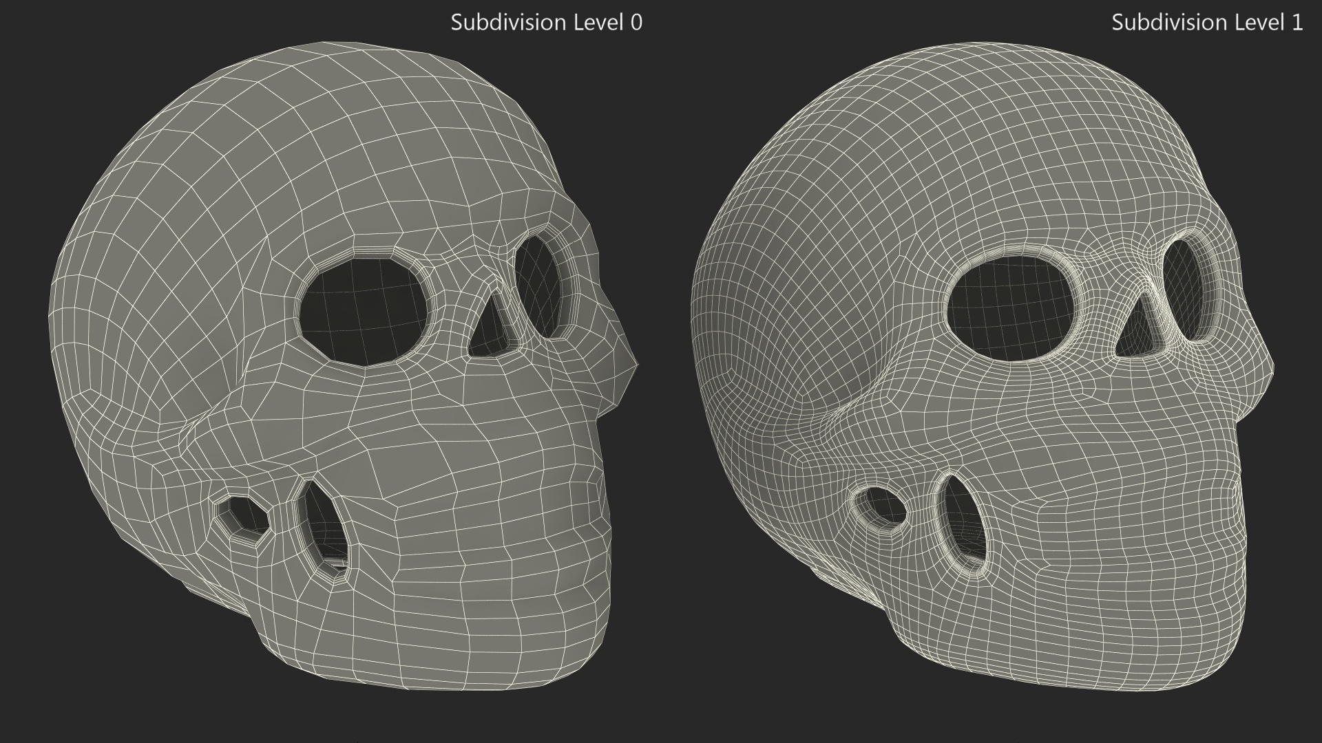 3D model Calavera