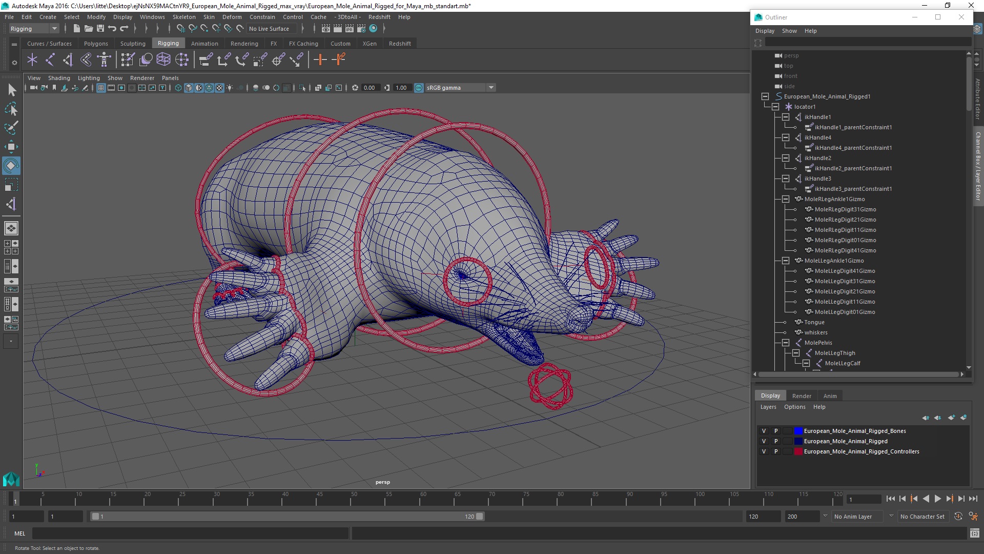 3D European Mole Animal Rigged for Maya