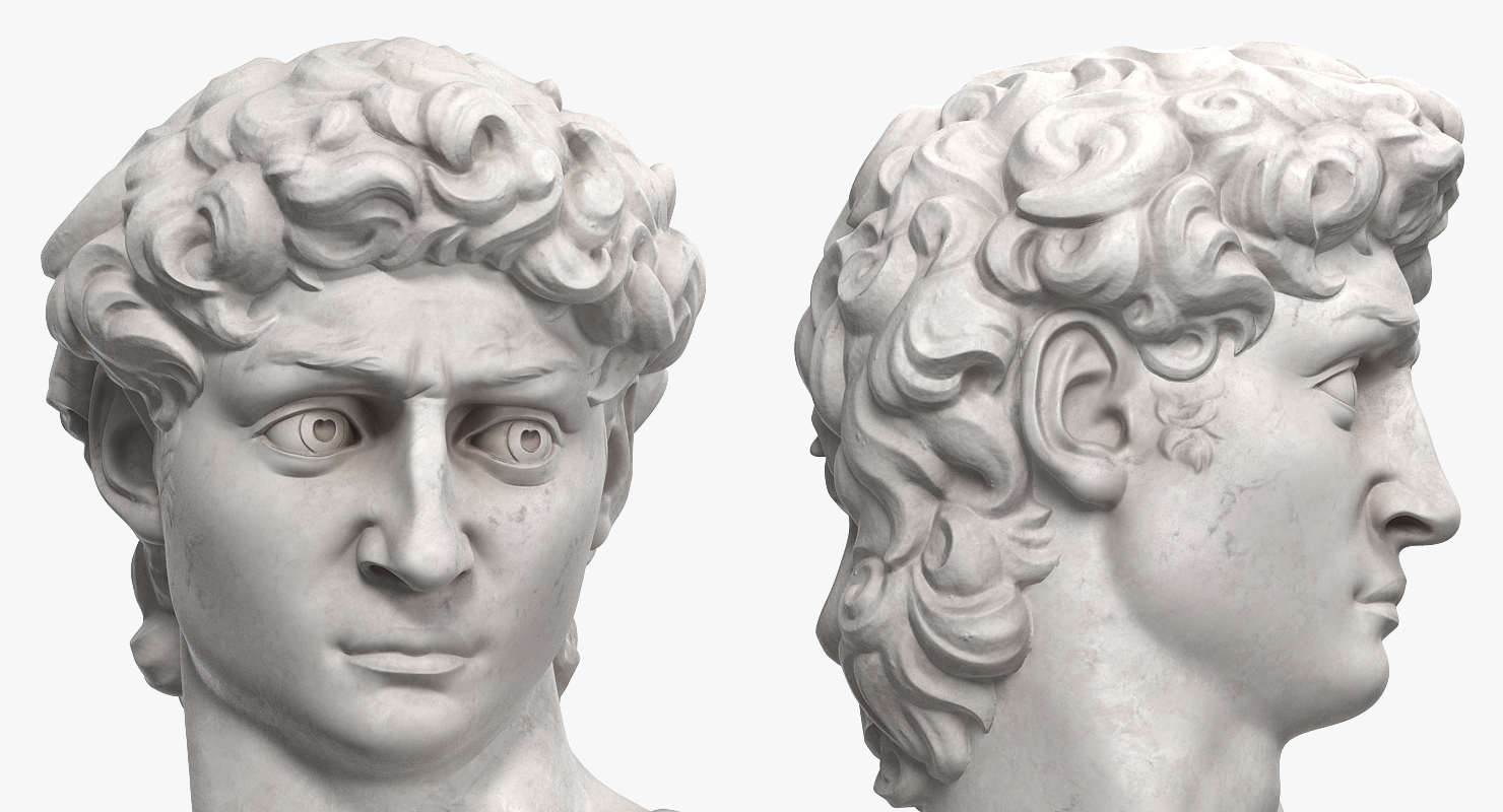 Bust of David by Michelangelo 3D model