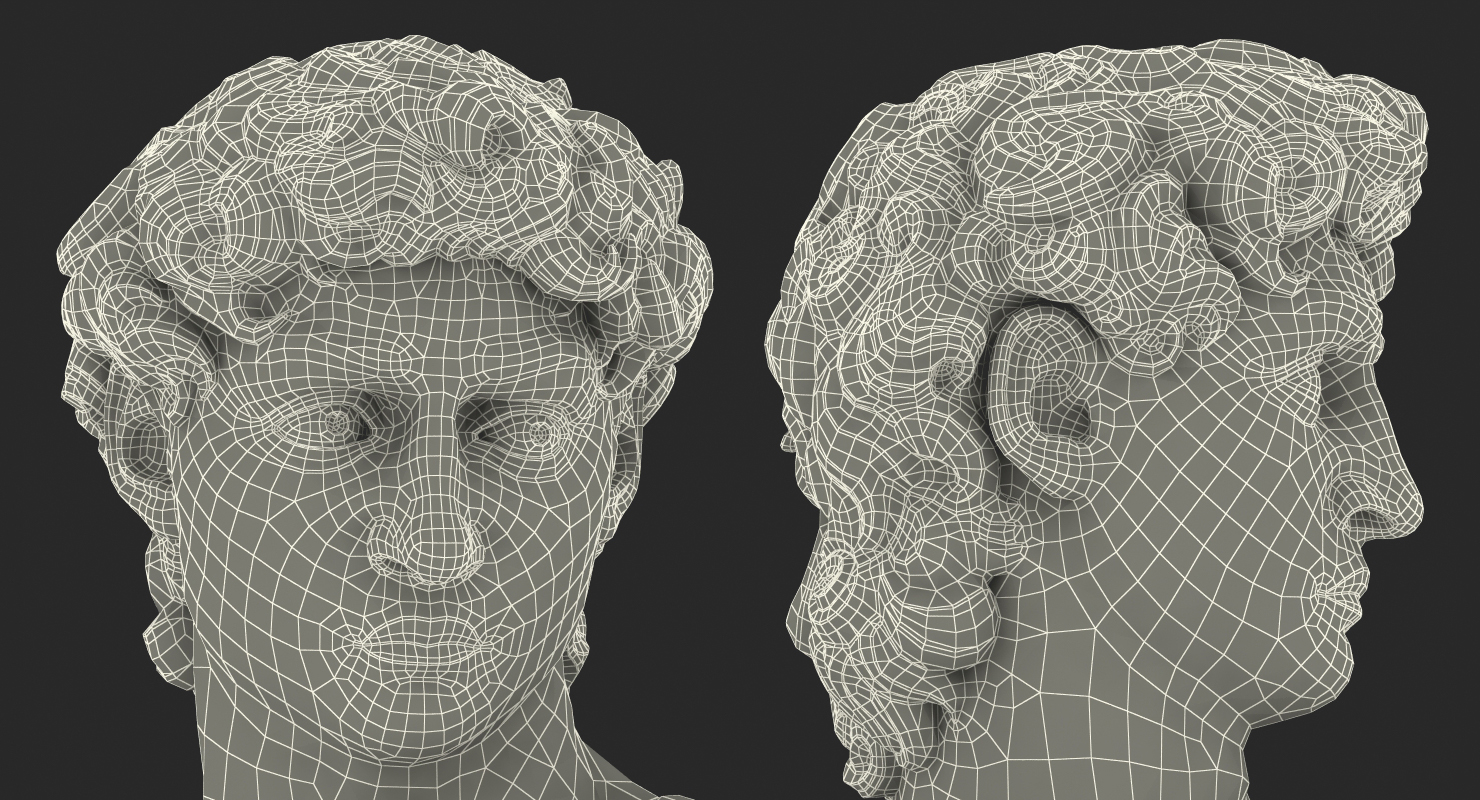 Bust of David by Michelangelo 3D model