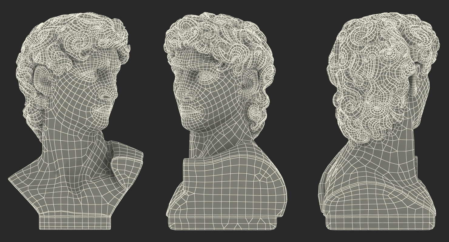 Bust of David by Michelangelo 3D model