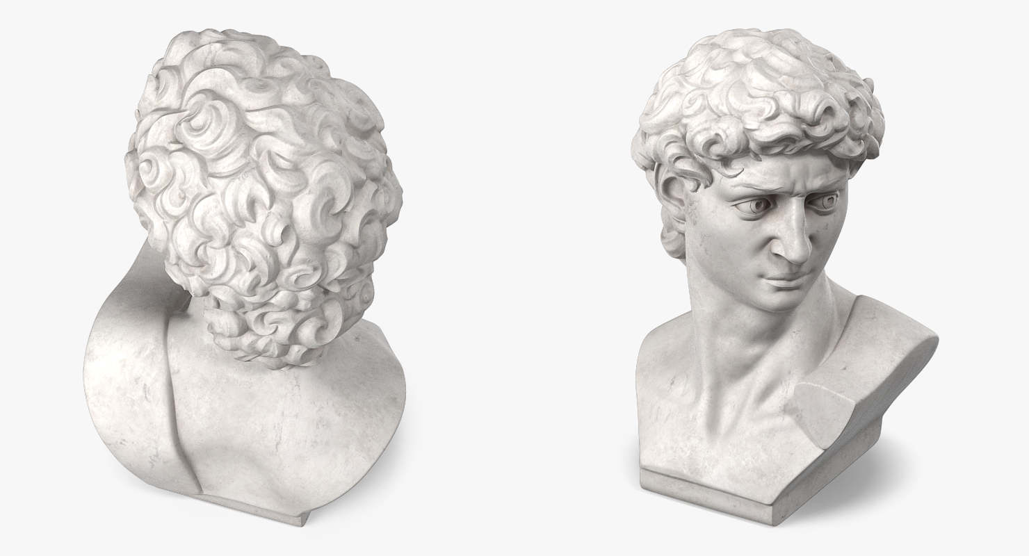 Bust of David by Michelangelo 3D model