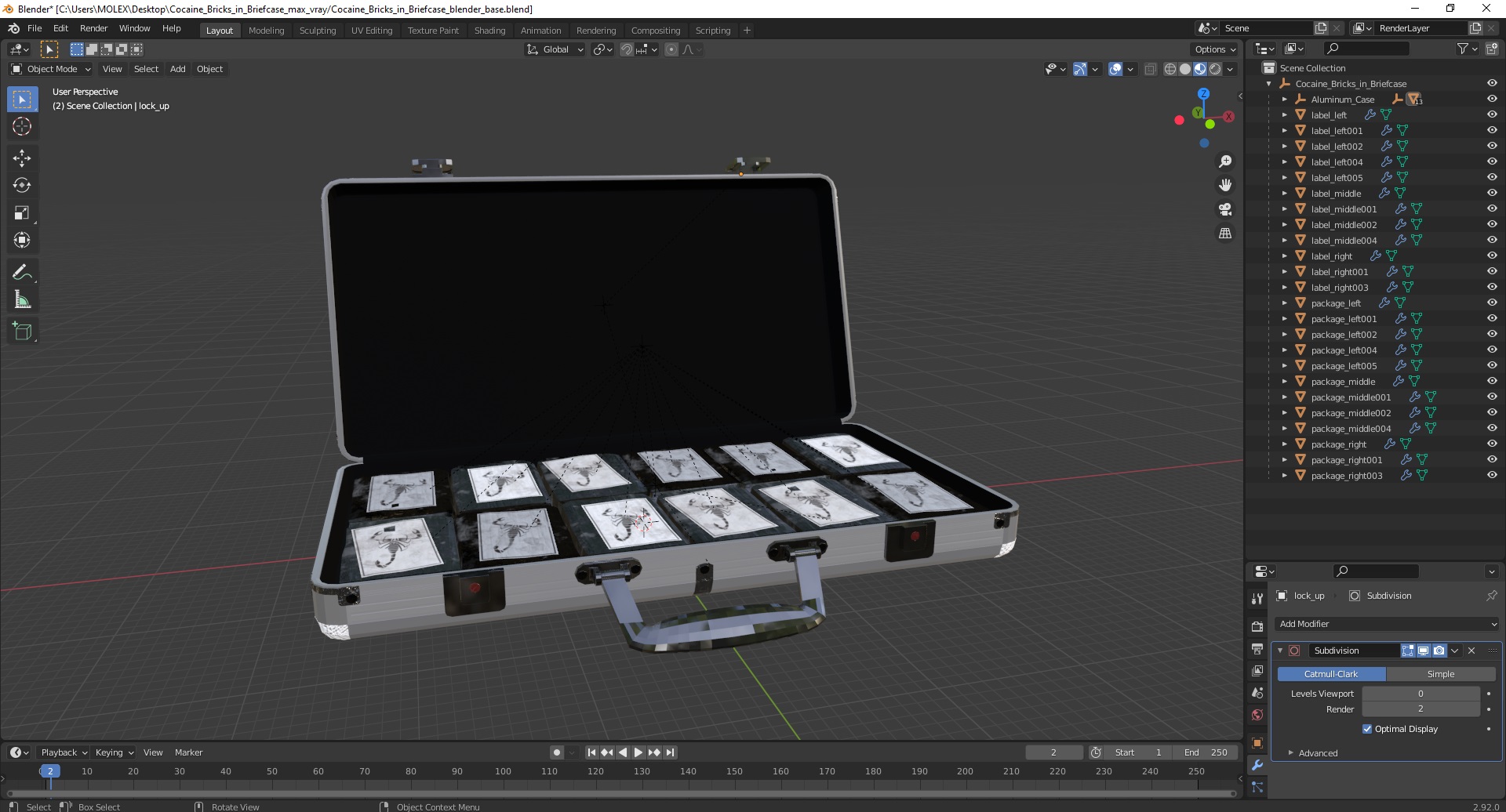 Cocaine Bricks in Briefcase 3D