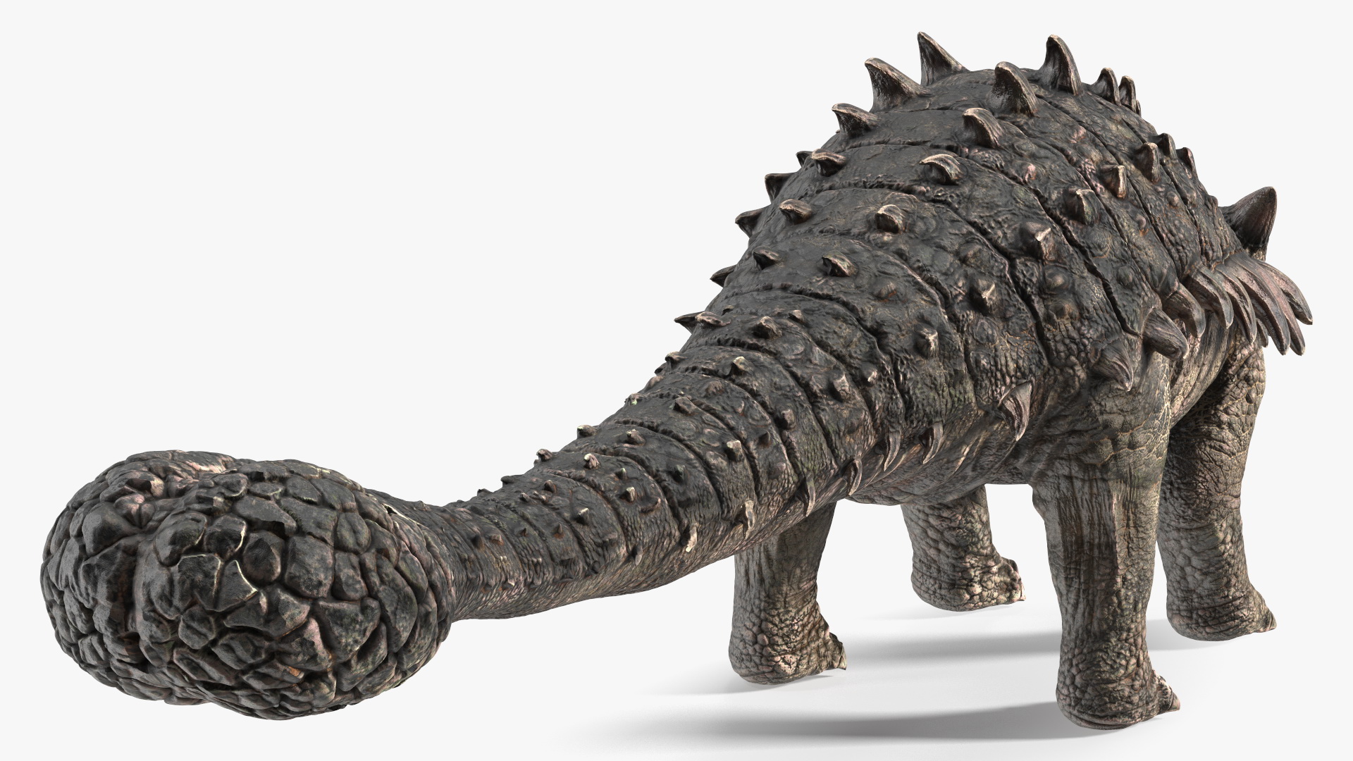 Alkylosaurus of Tropical Habitat Rigged 3D model