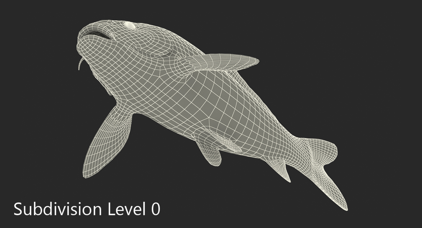 Harivake Koi Fish 3D