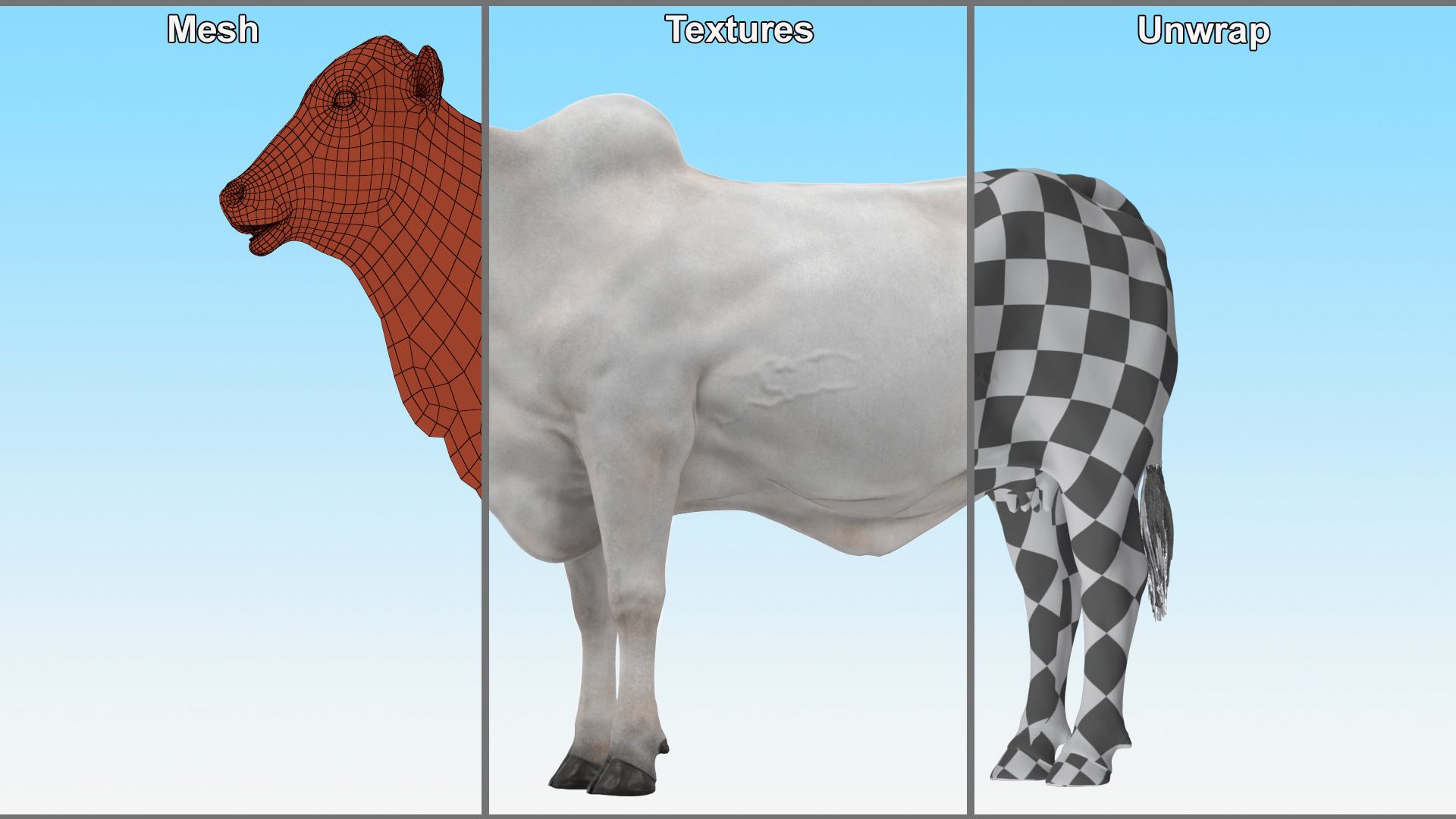 3D Nelore Cow Female Fur Rigged model