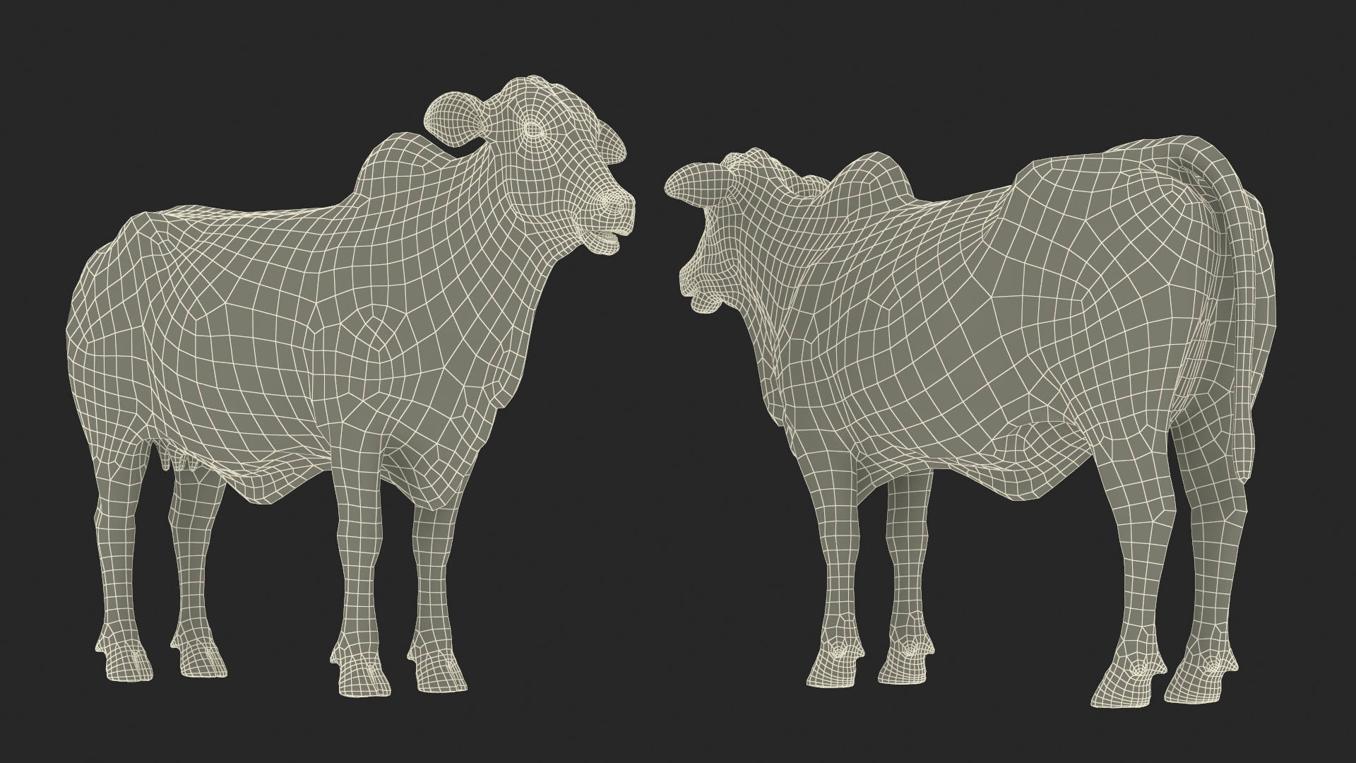 3D Nelore Cow Female Fur Rigged model