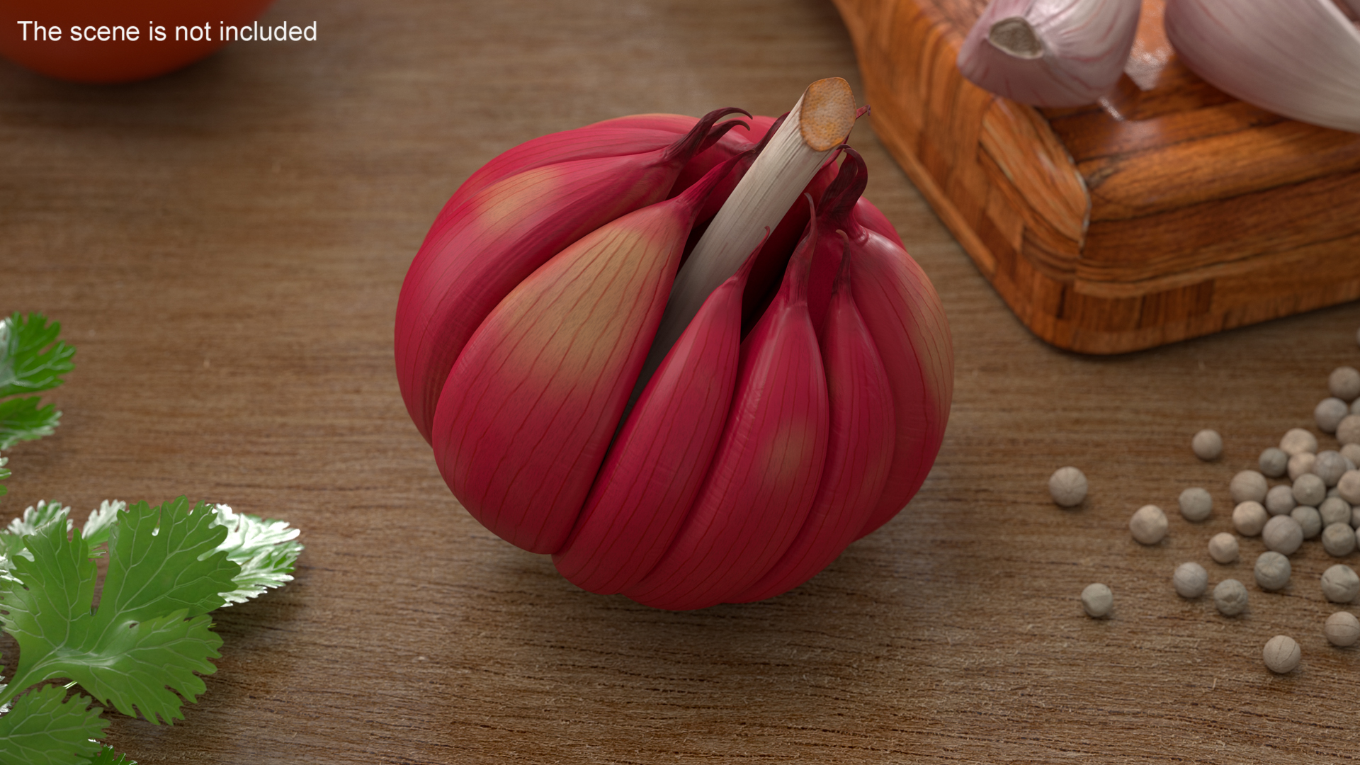 3D Head of Garlic Red model