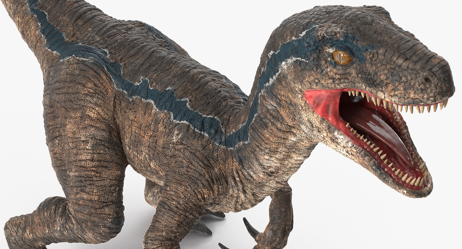 Velociraptor Rigged 3D model