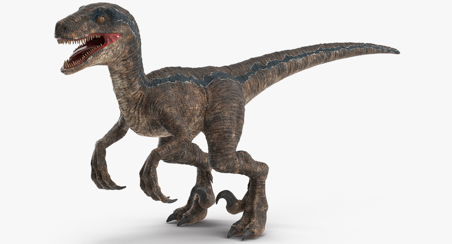 Velociraptor Rigged 3D model