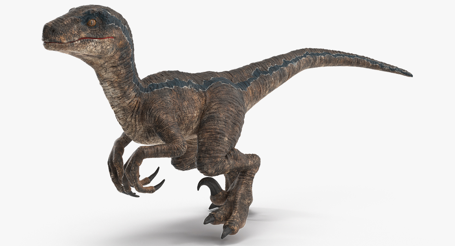 Velociraptor Rigged 3D model