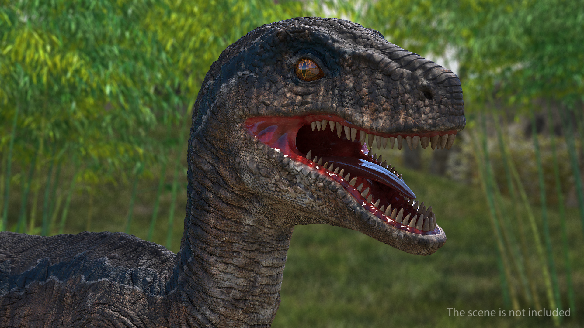 Velociraptor Rigged 3D model