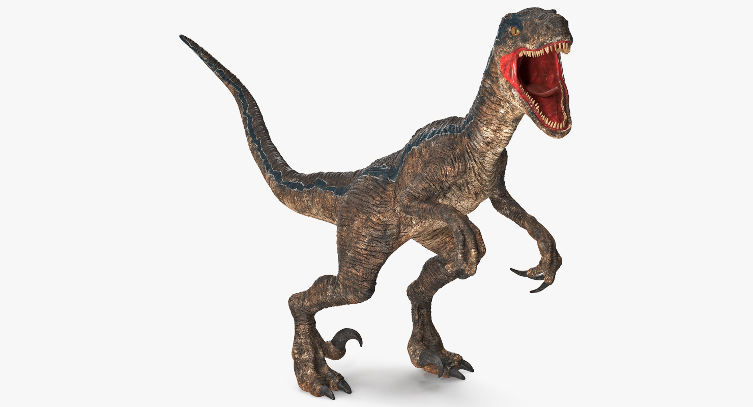 Velociraptor Rigged 3D model