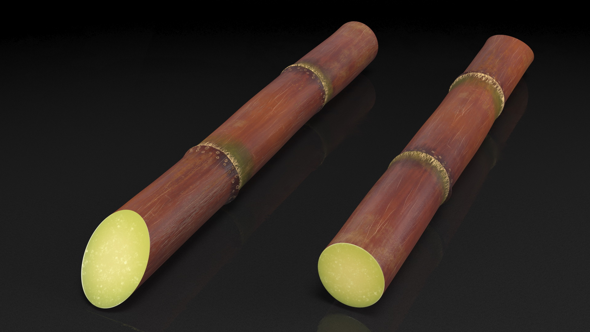 Sugarcane Purple Stick 3D