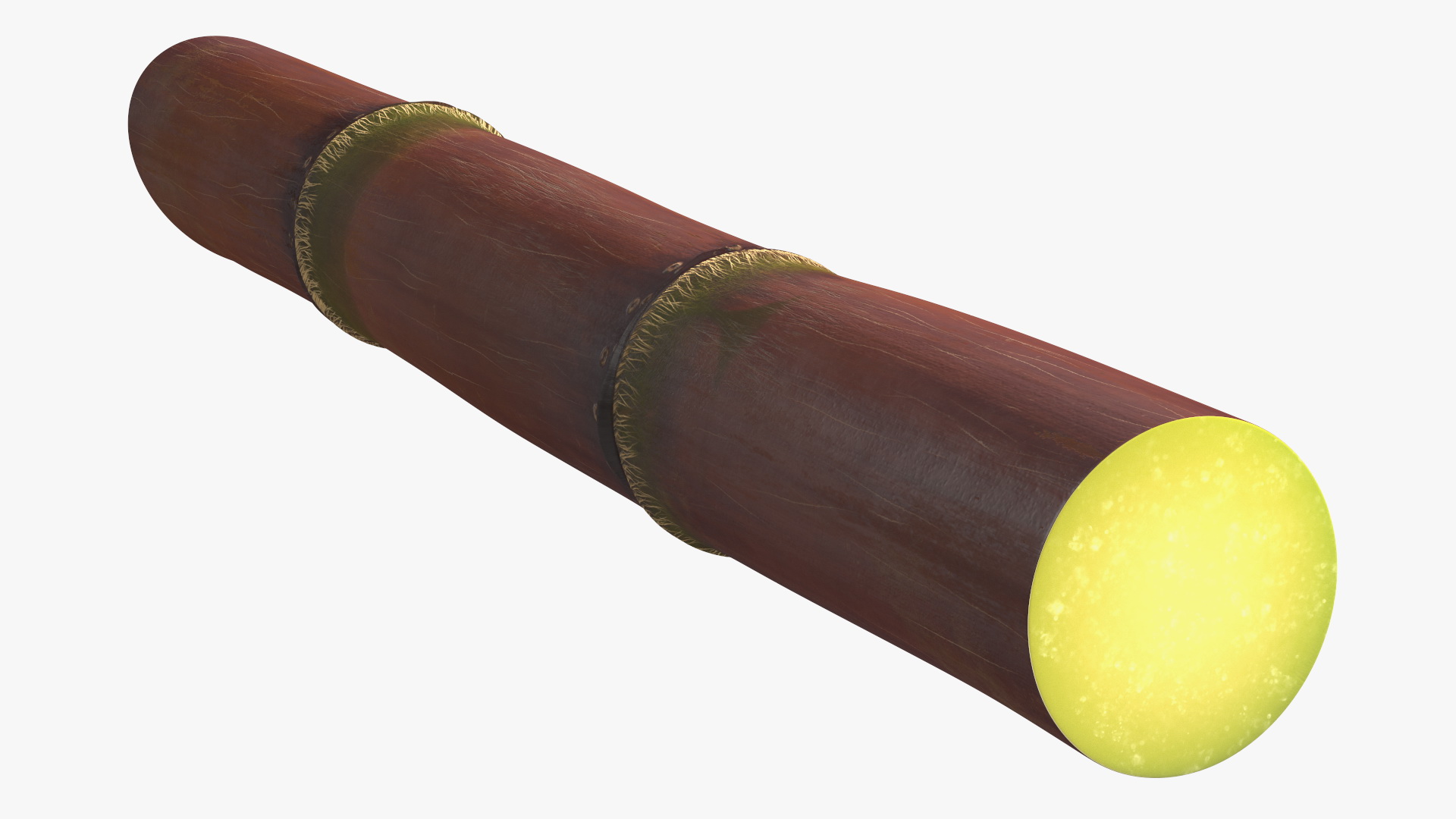 Sugarcane Purple Stick 3D