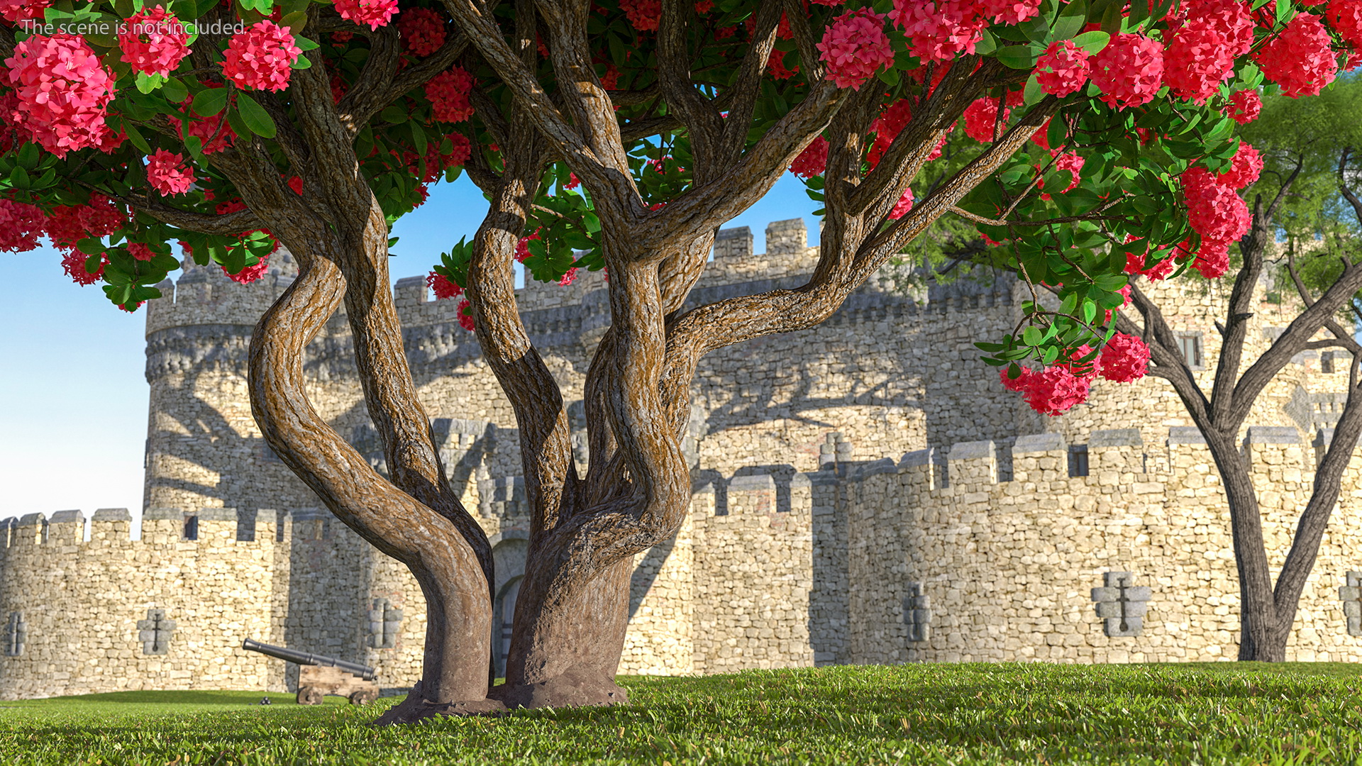 3D Rhododendron Red Tree