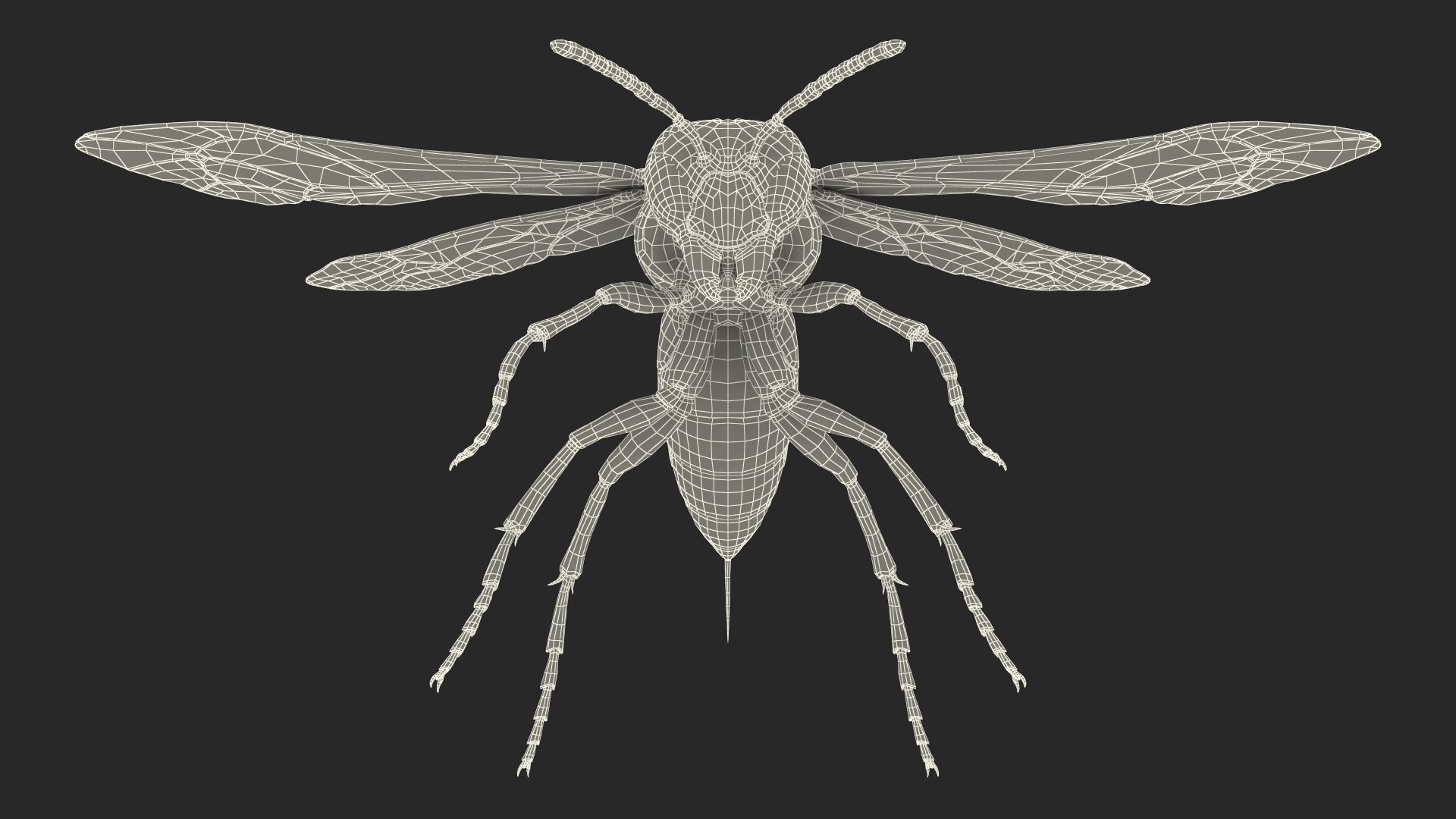 3D model Vespid Wasp Fur