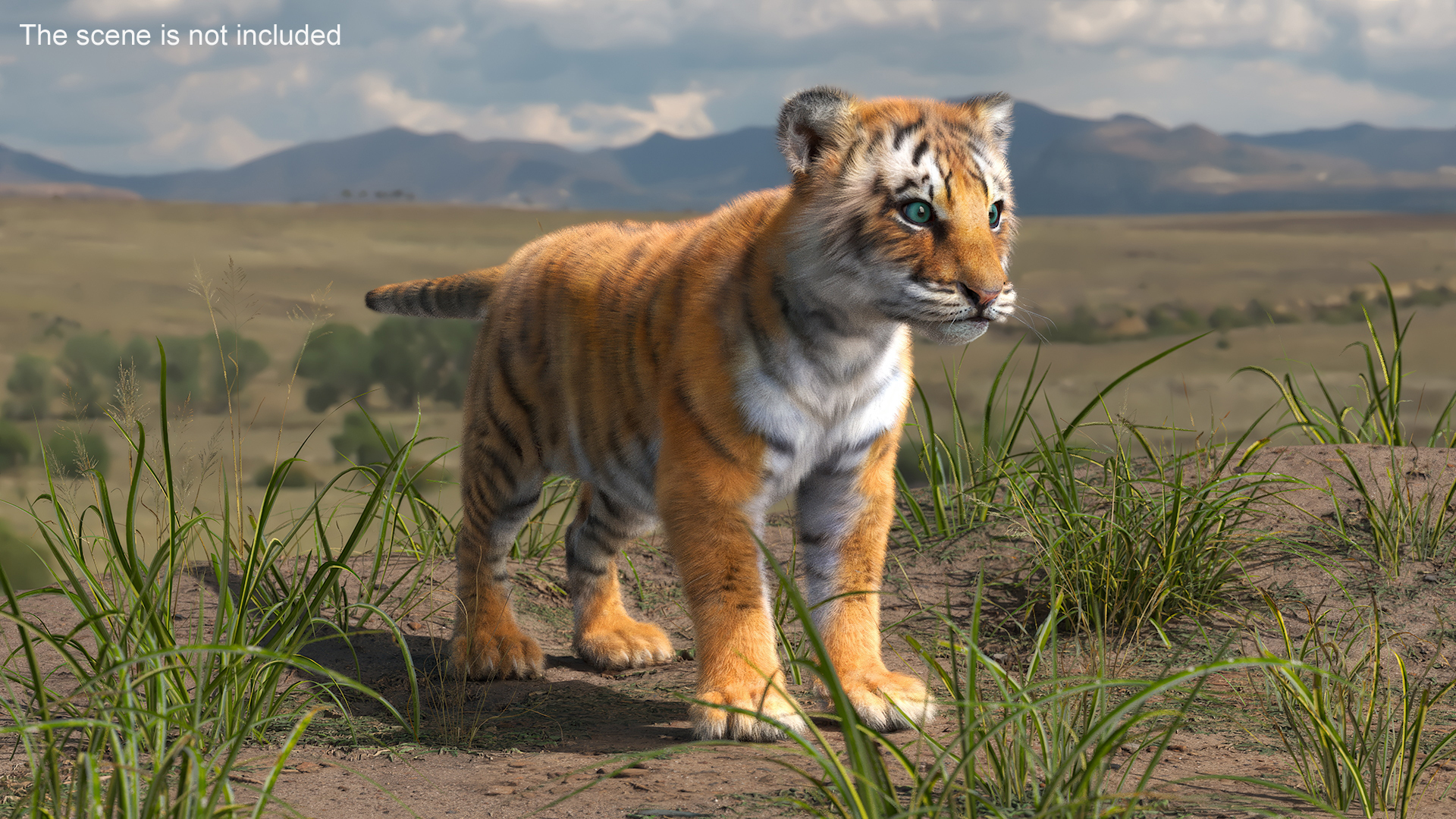 3D Tiger Cub Fur model