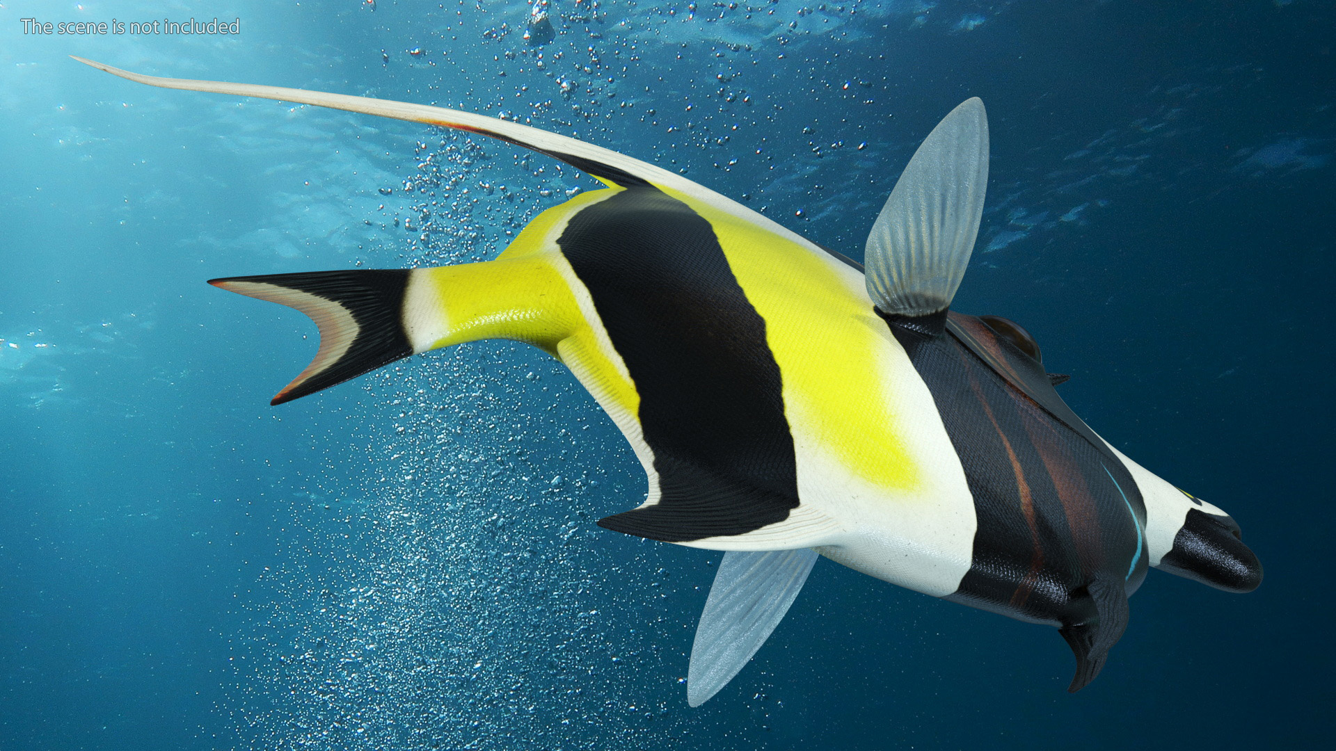 3D Moorish Idol Tropical Fish