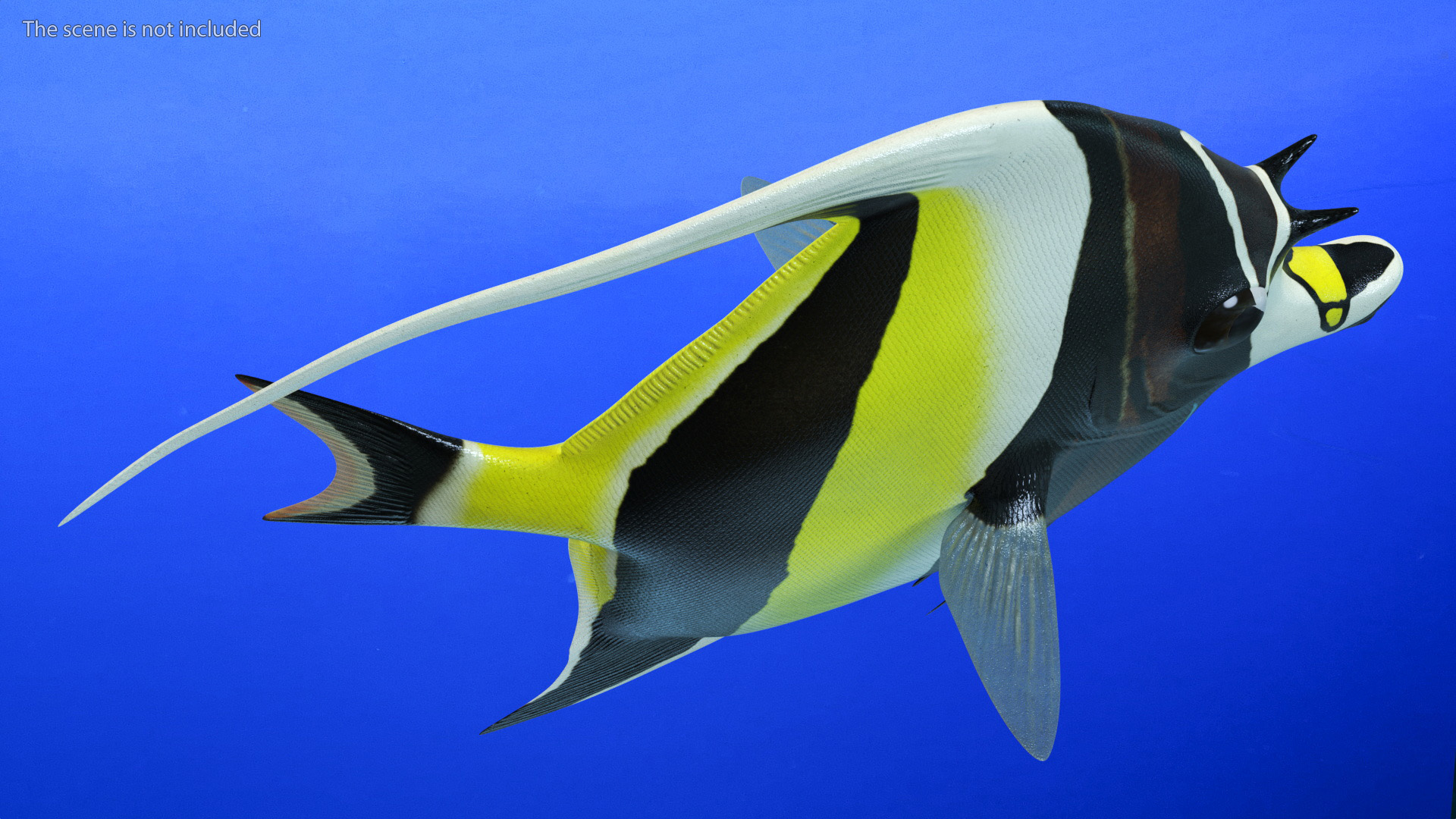 3D Moorish Idol Tropical Fish