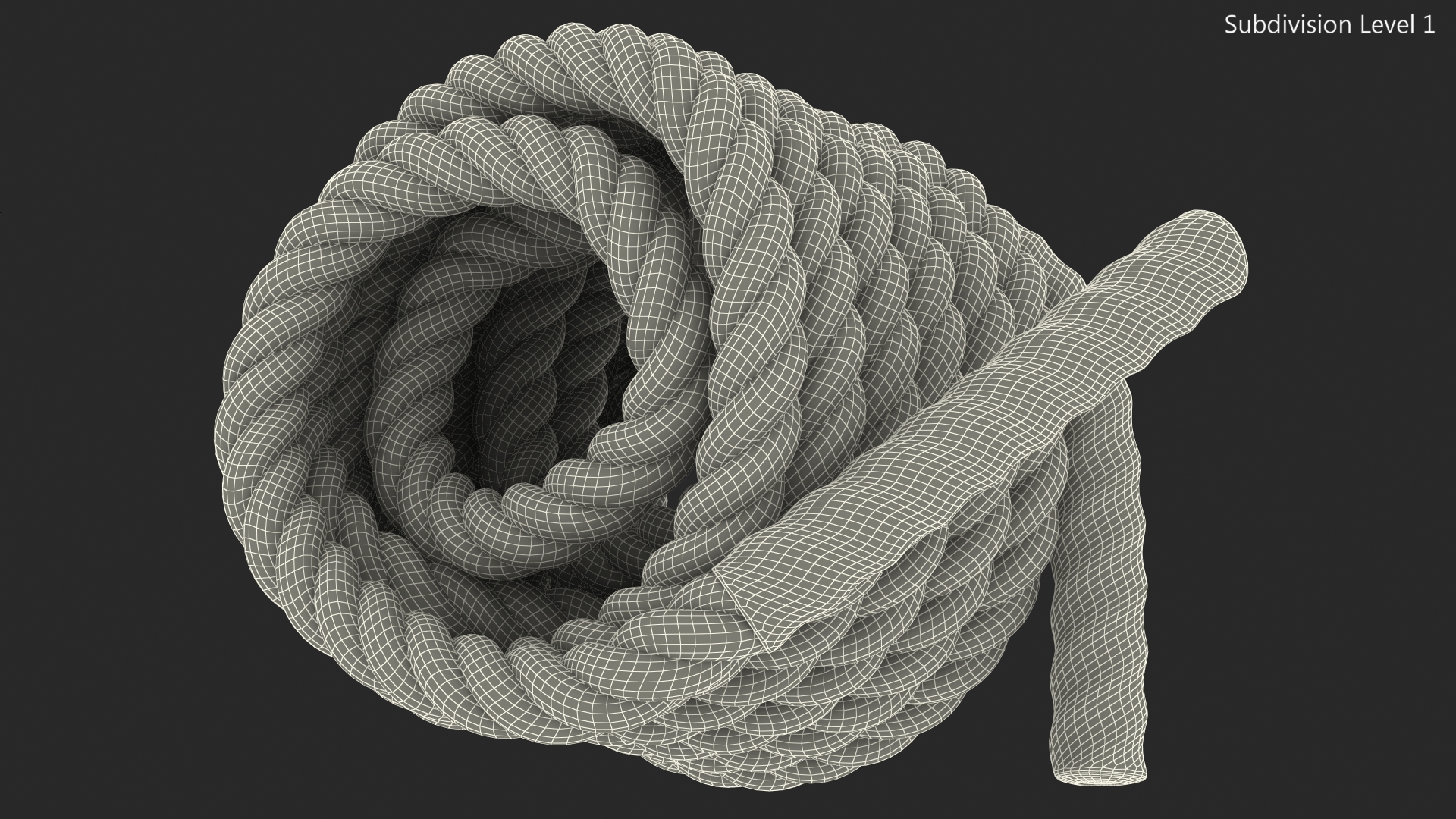 3D Heavy Training Rope Folded