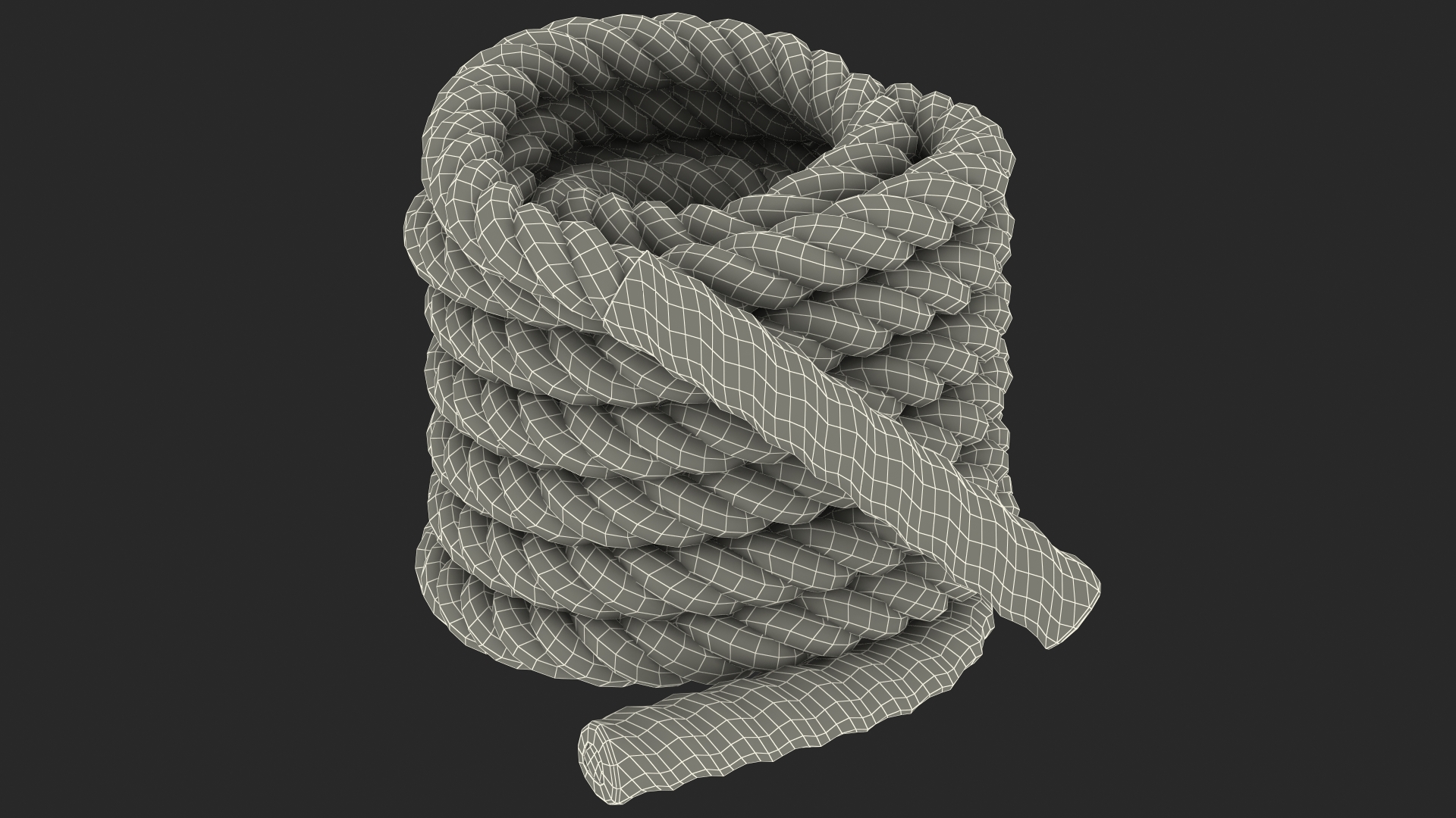 3D Heavy Training Rope Folded