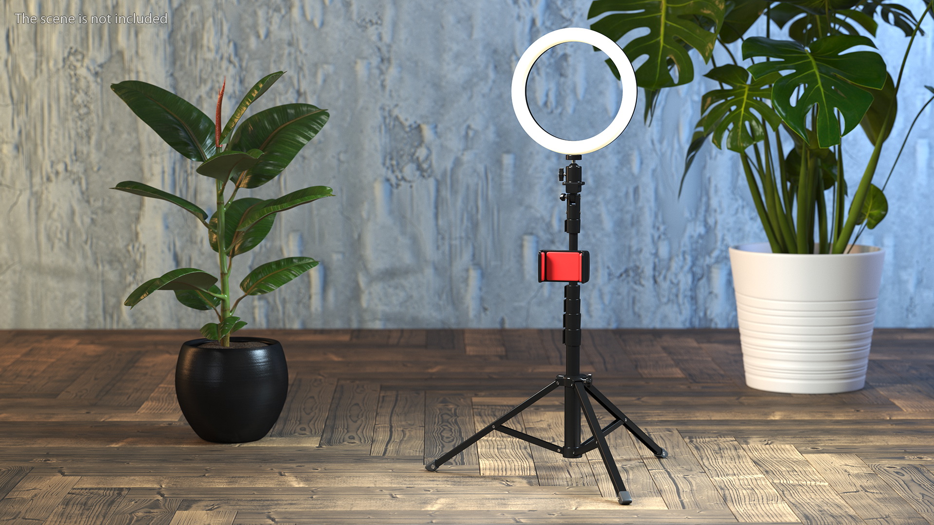 3D model Tripod Stand with Ring Light and Phone Holder